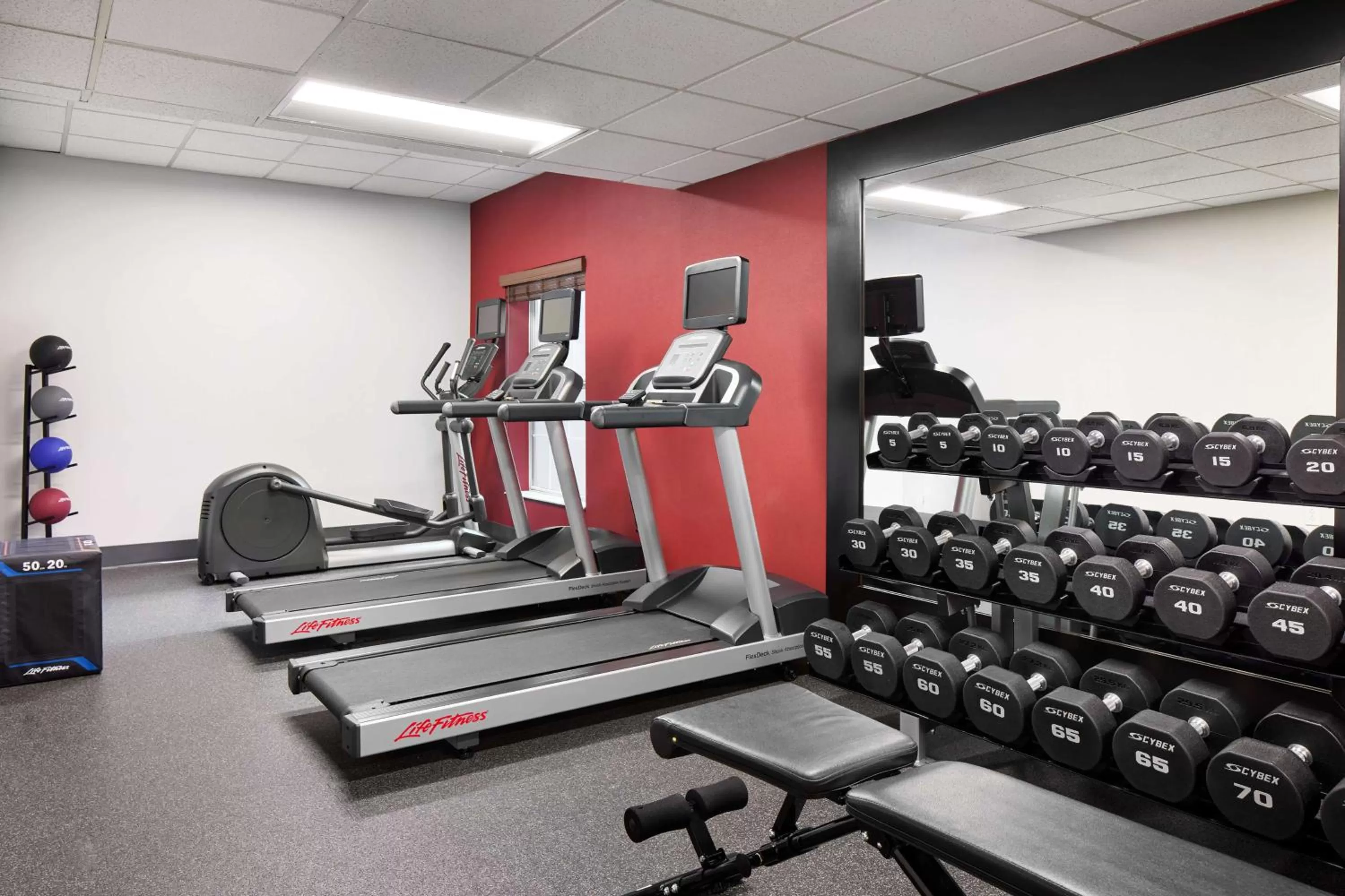 Fitness centre/facilities in Homewood Suites by Hilton Baltimore-Washington Intl Apt