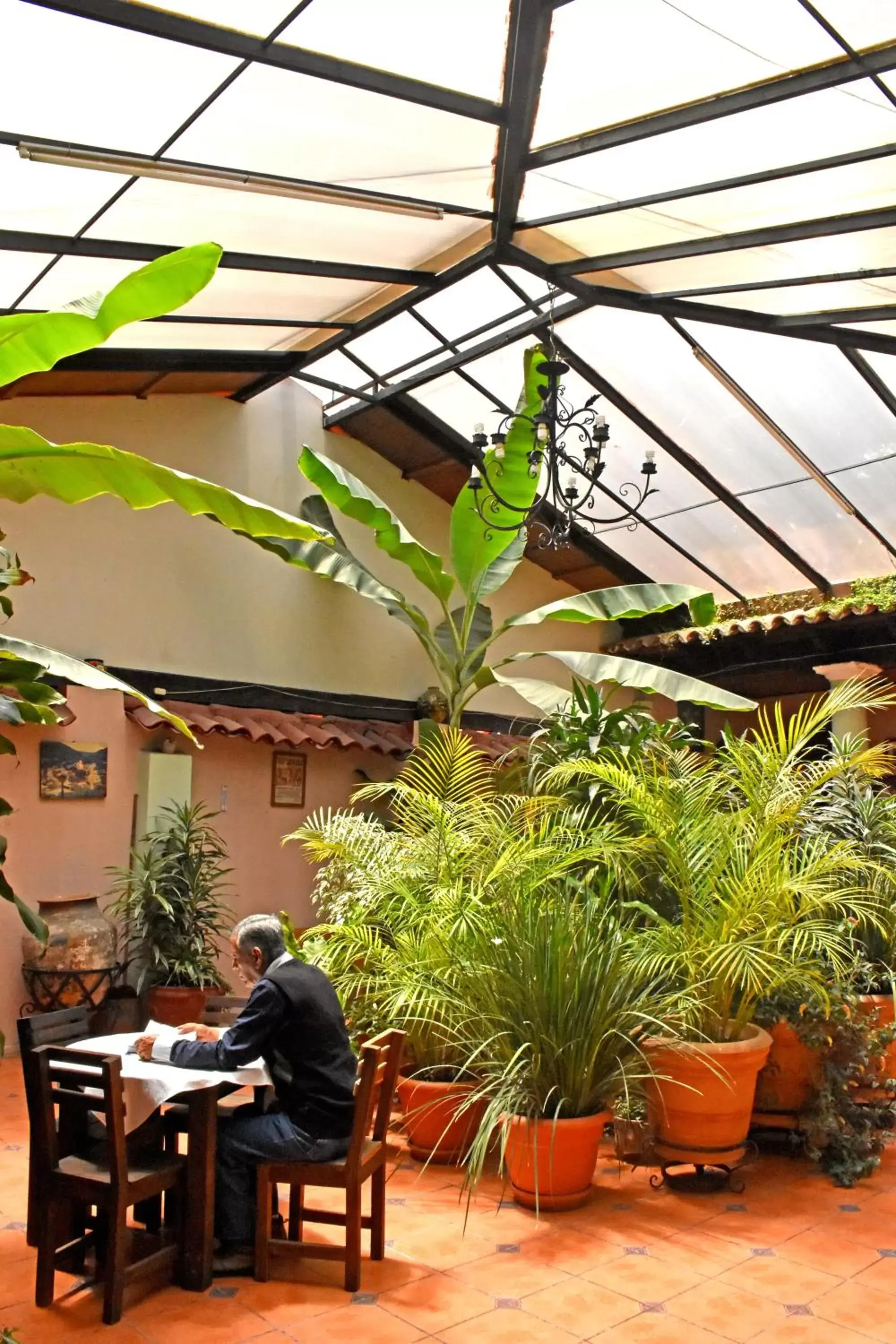 Garden, Restaurant/Places to Eat in Hotel San Luis