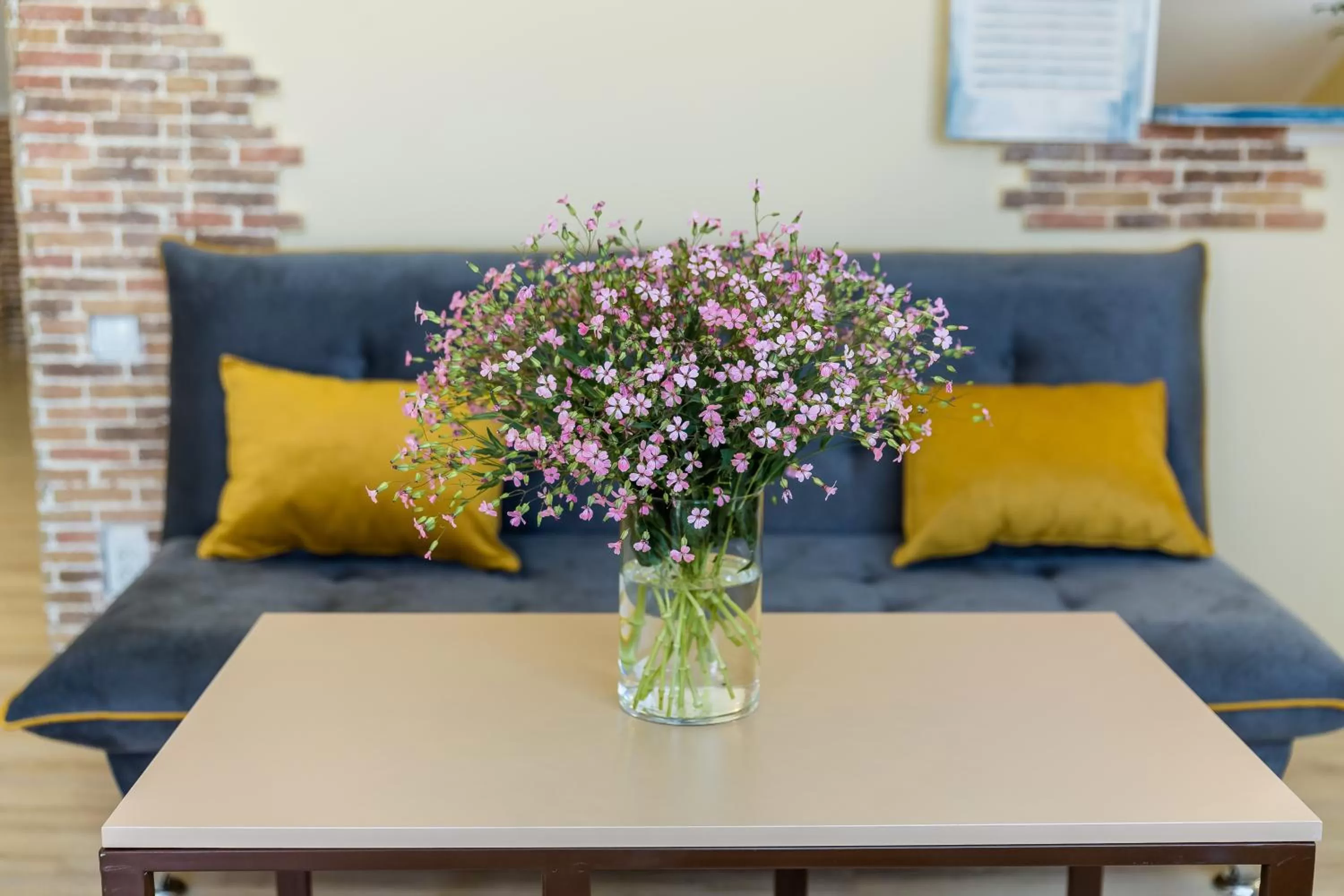 Living room in Gvino Minda