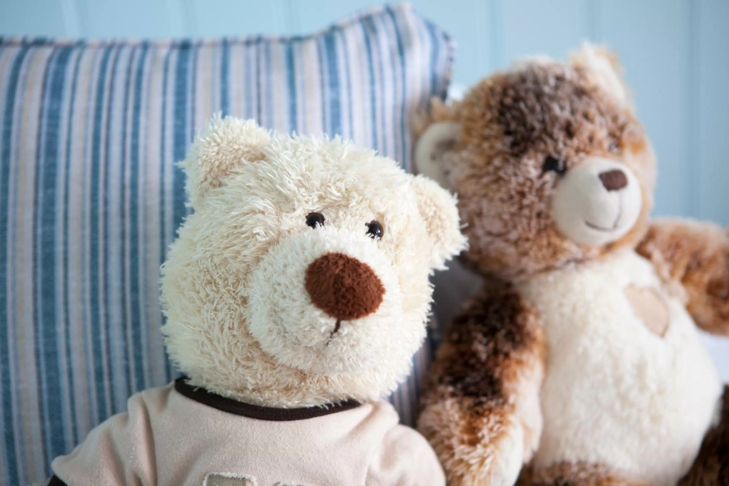 children in Luccombe Hall Hotel