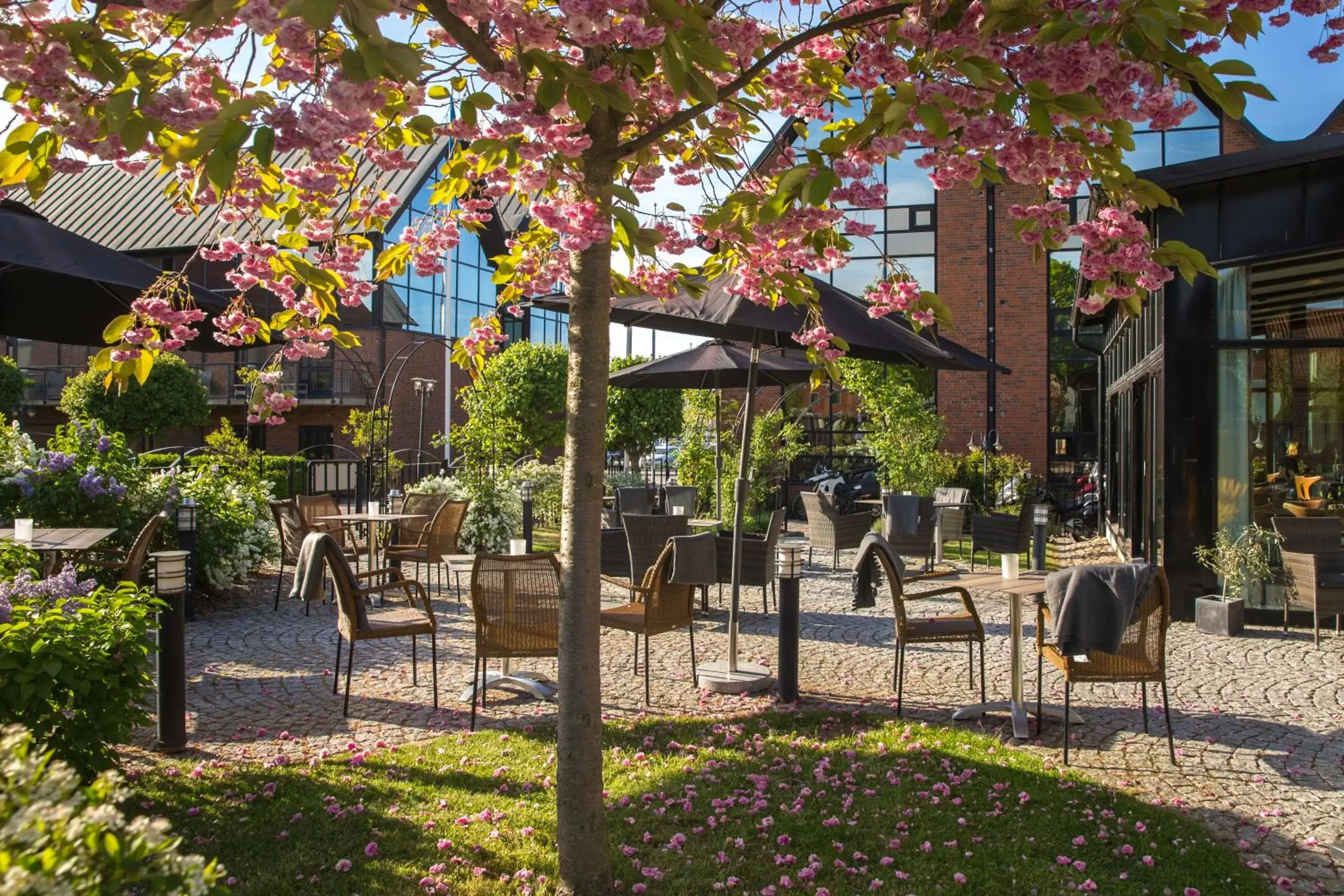 Patio in Clarion Collection Hotel Carlscrona