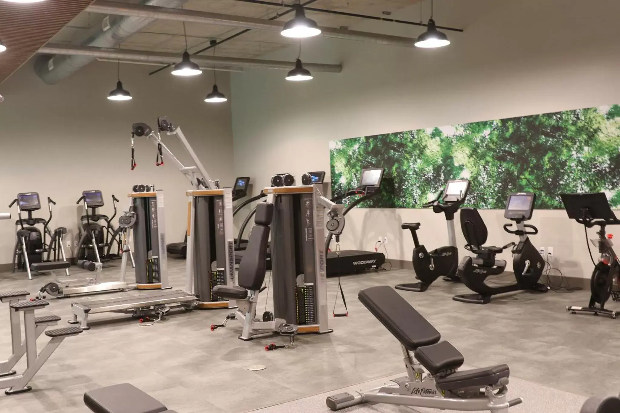 Fitness centre/facilities, Fitness Center/Facilities in Staybridge Suites Rochester - Mayo Clinic Area, an IHG Hotel