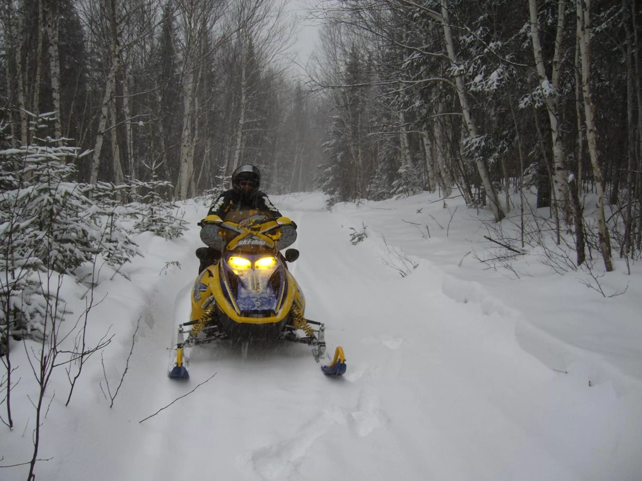 Bowling in Strong Timbers BnB