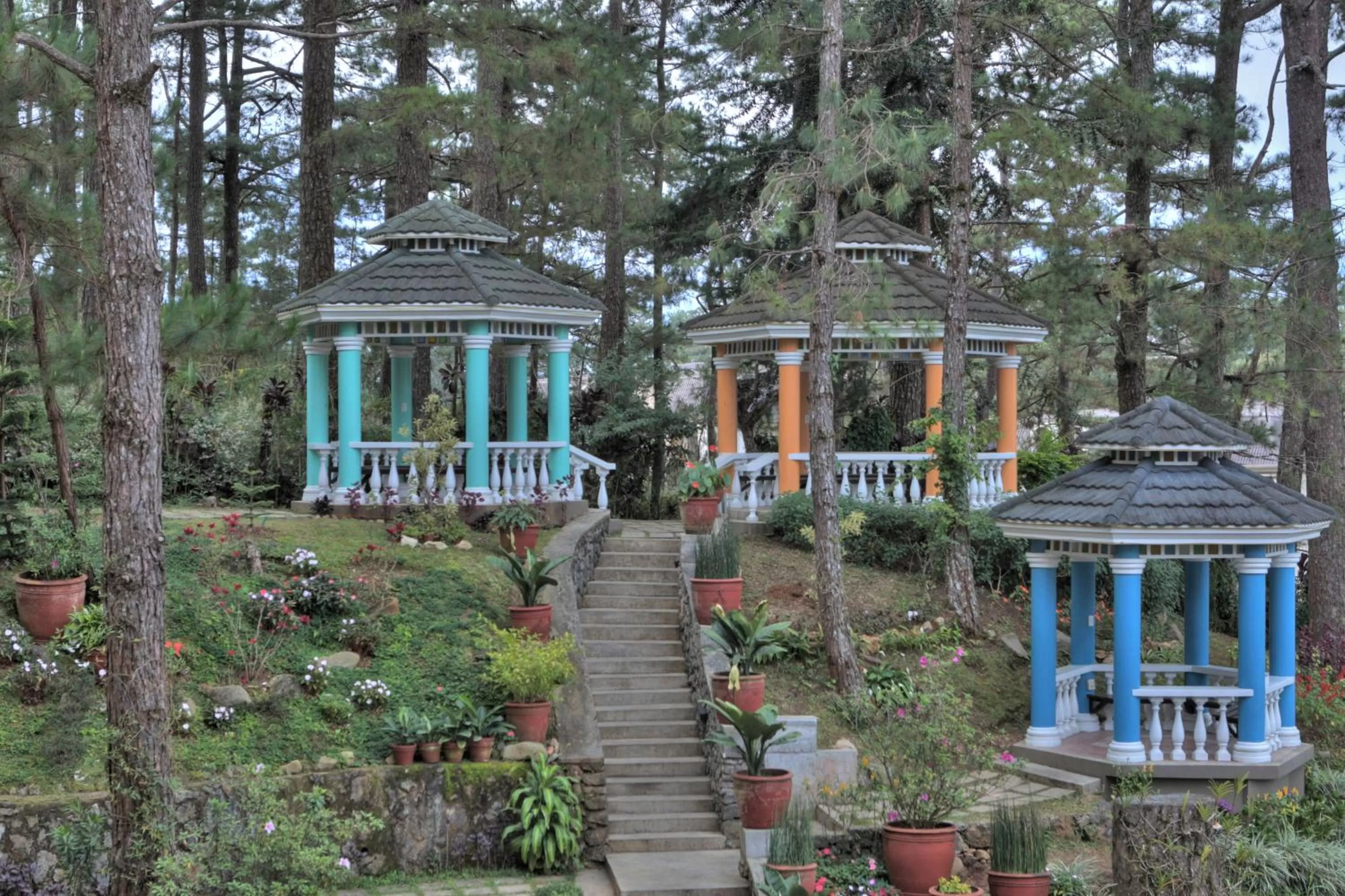 Garden in Hotel Elizabeth - Baguio