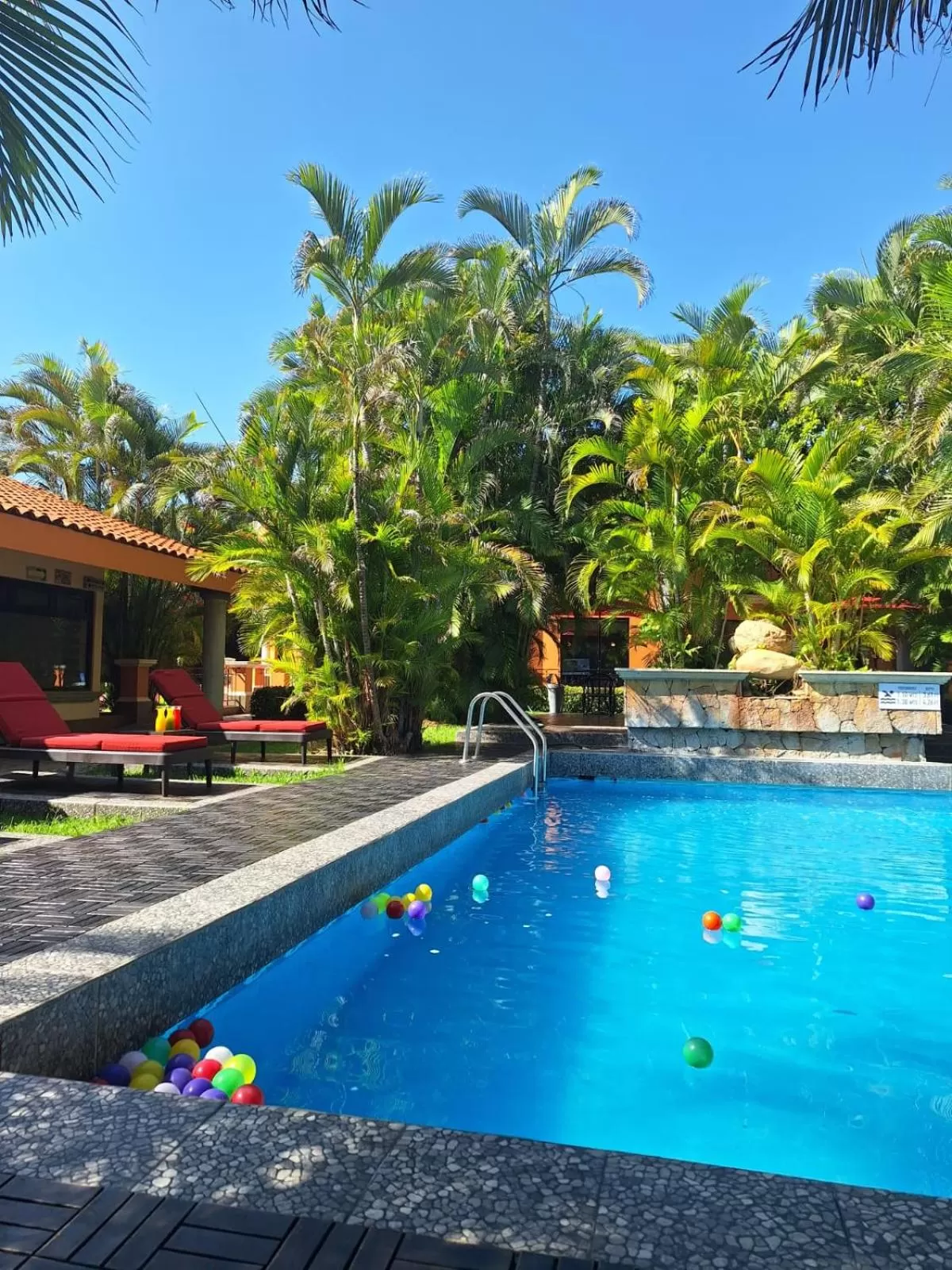 Swimming pool in Hotel Palmareca