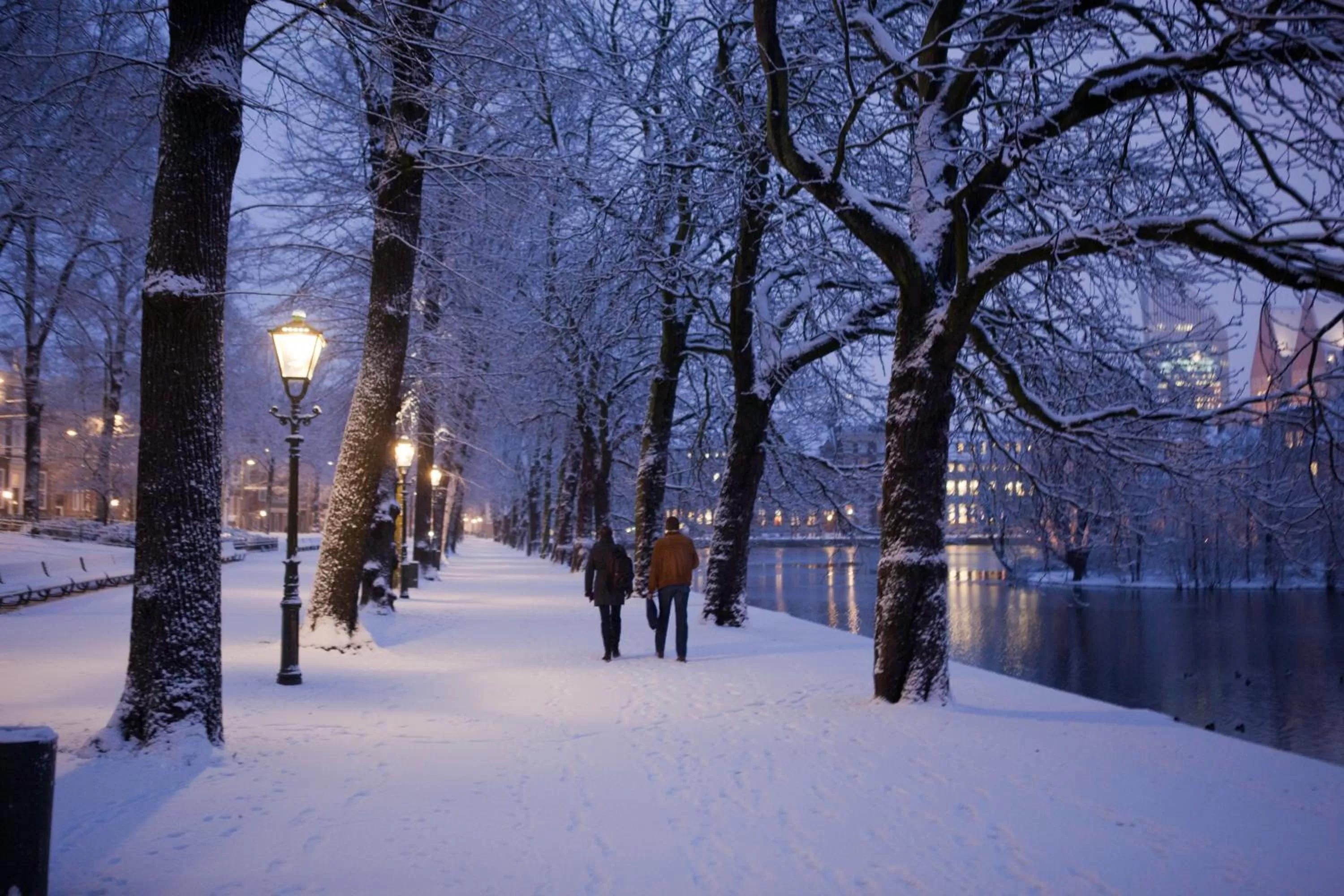 Neighbourhood in The Collector