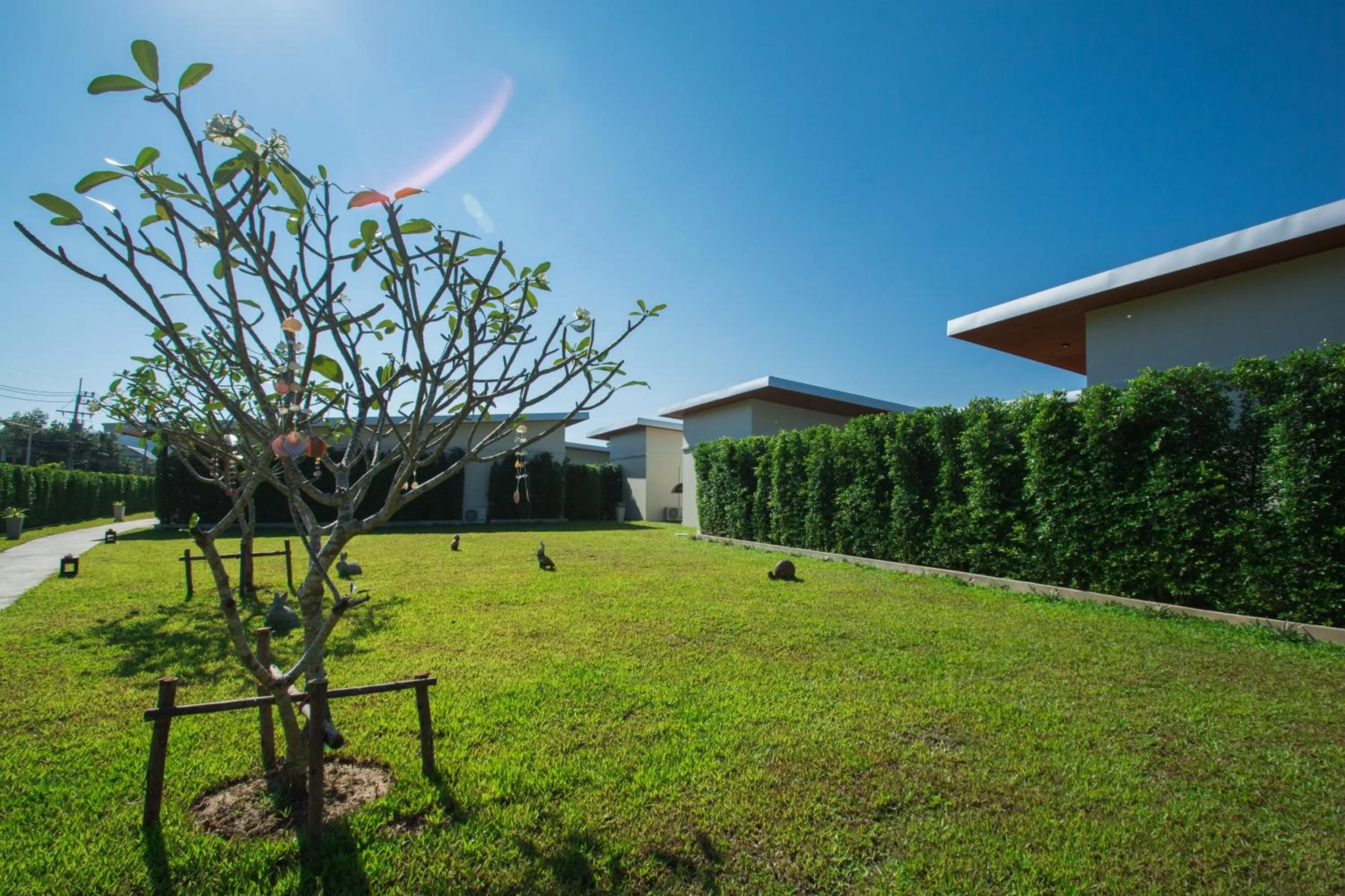 Garden in Good Night Pool Villa Phuket - SHA Plus