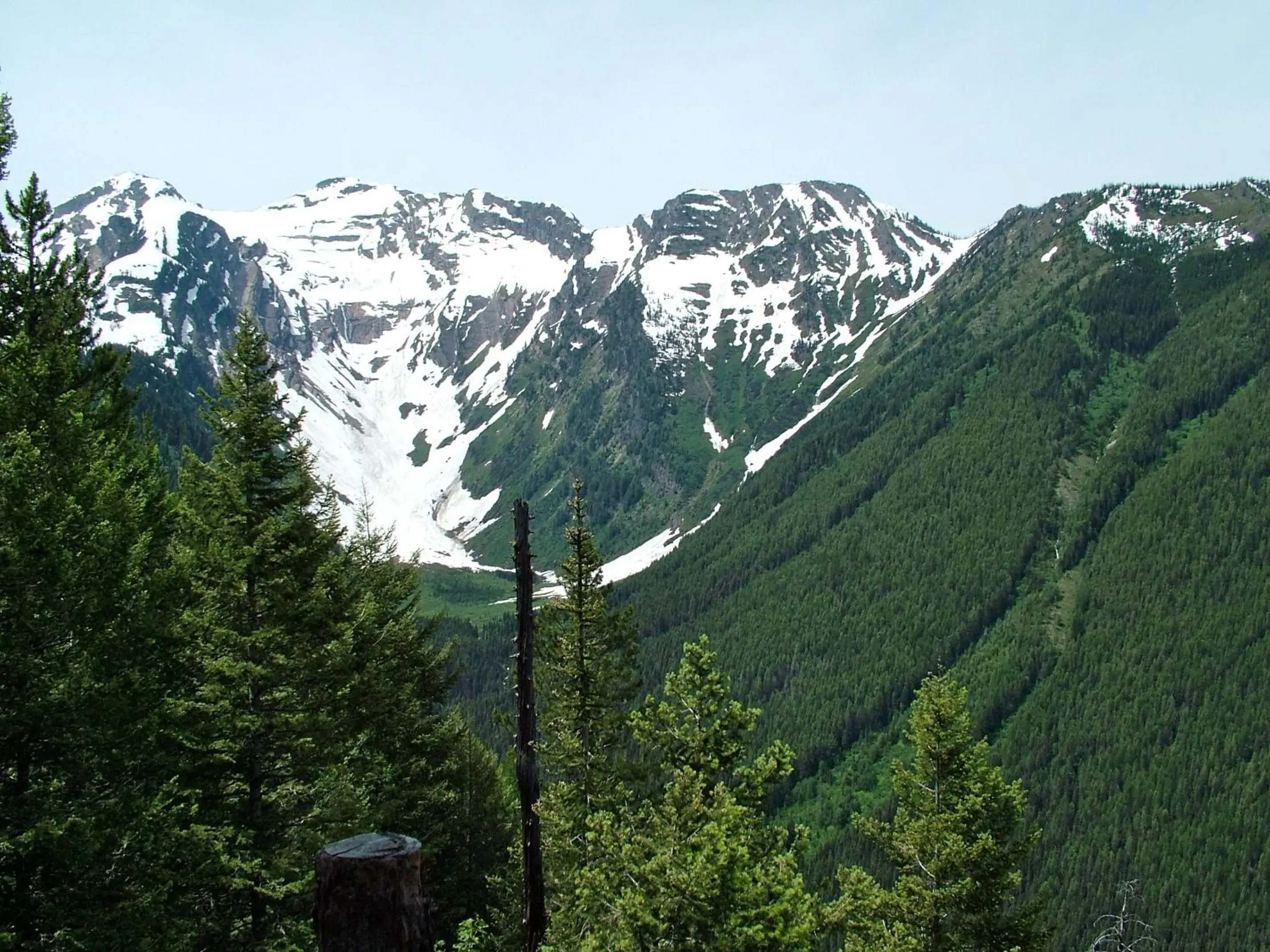 Area and facilities, Natural Landscape in Glacier Haven Inn