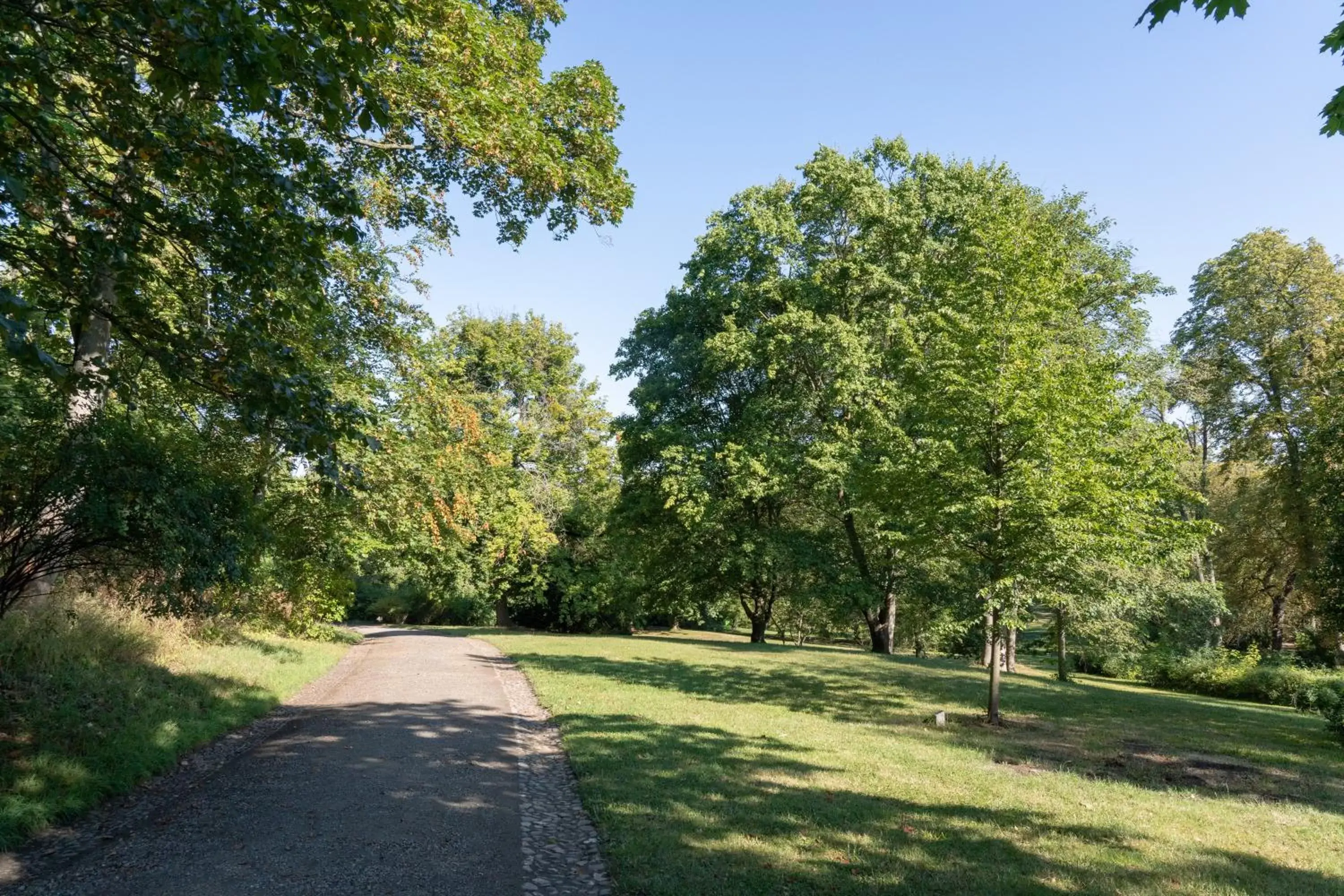 Day, Garden in Bernstein Schlosshotel Ballenstedt