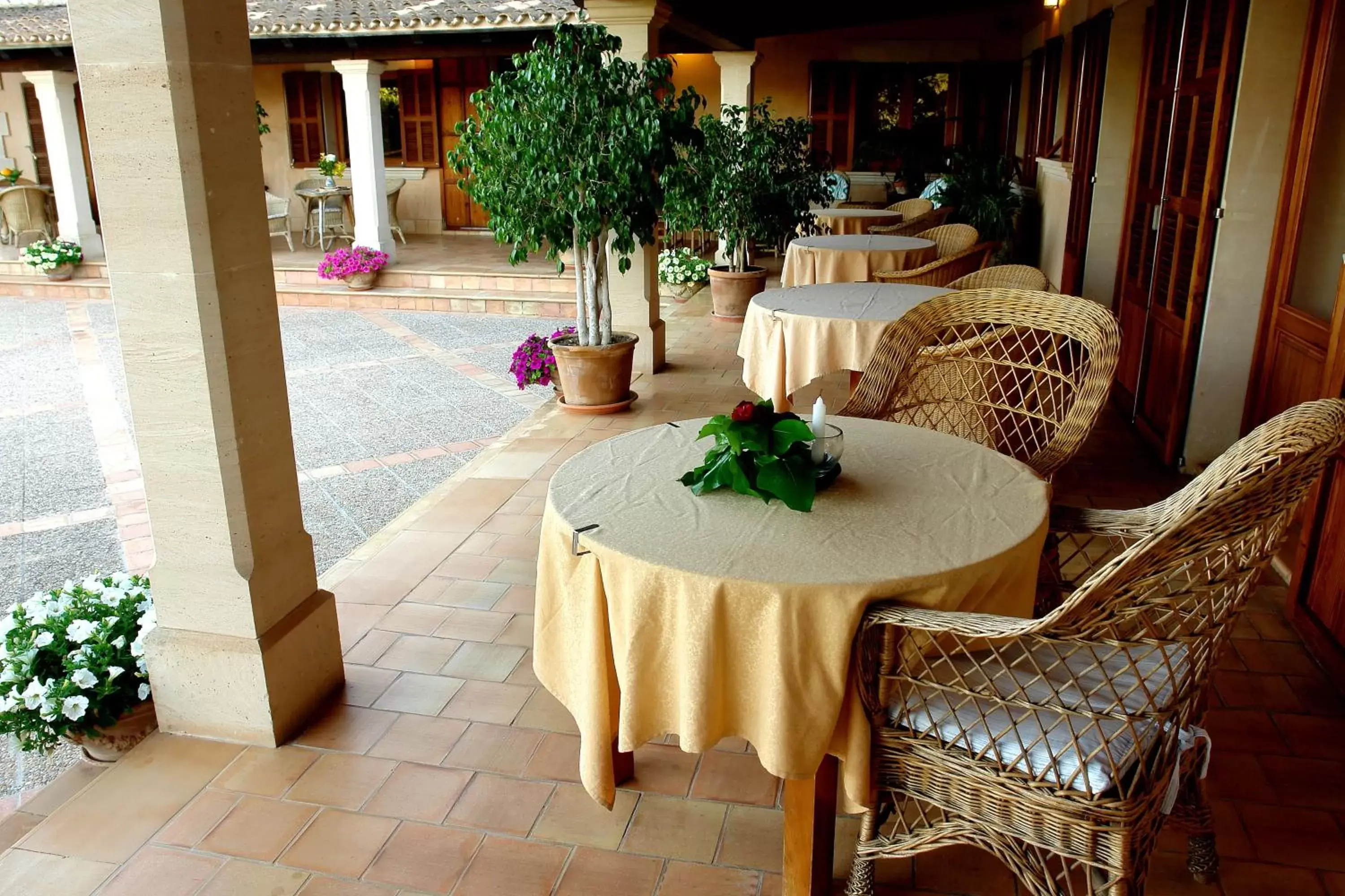 Balcony/Terrace in Aumallia Hotel & Spa