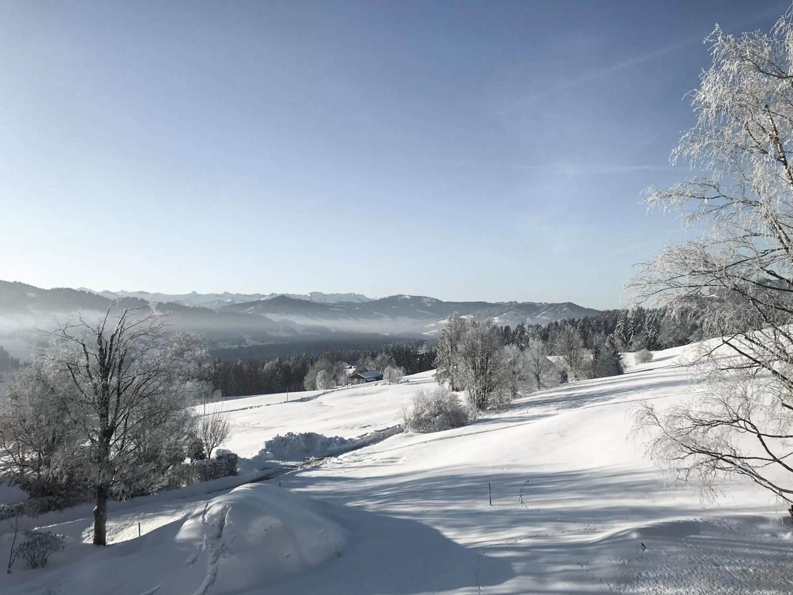 Day in Alpenloge Design Hotel