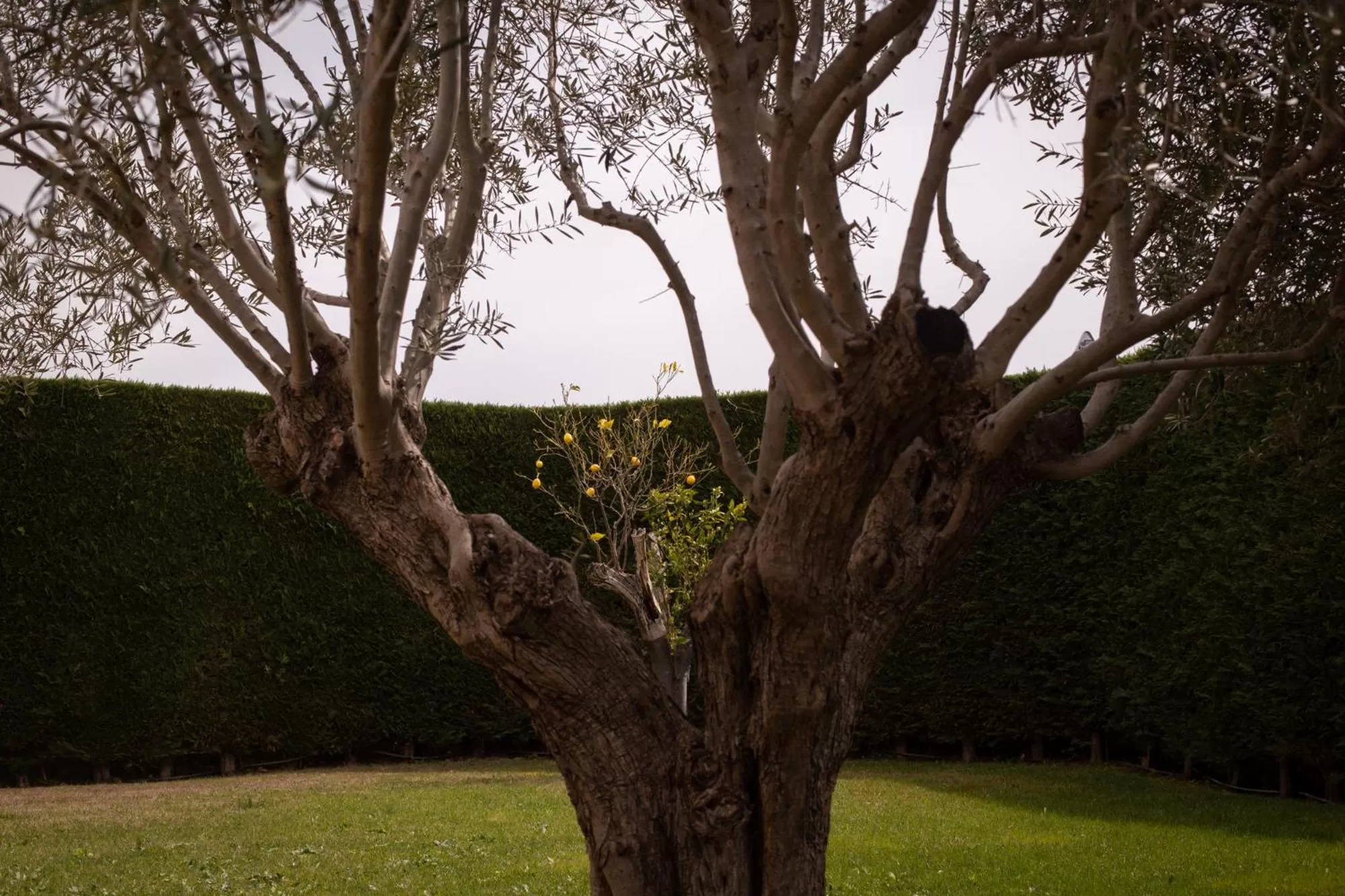 Other in Hotel Mas 1670 - Adults Only