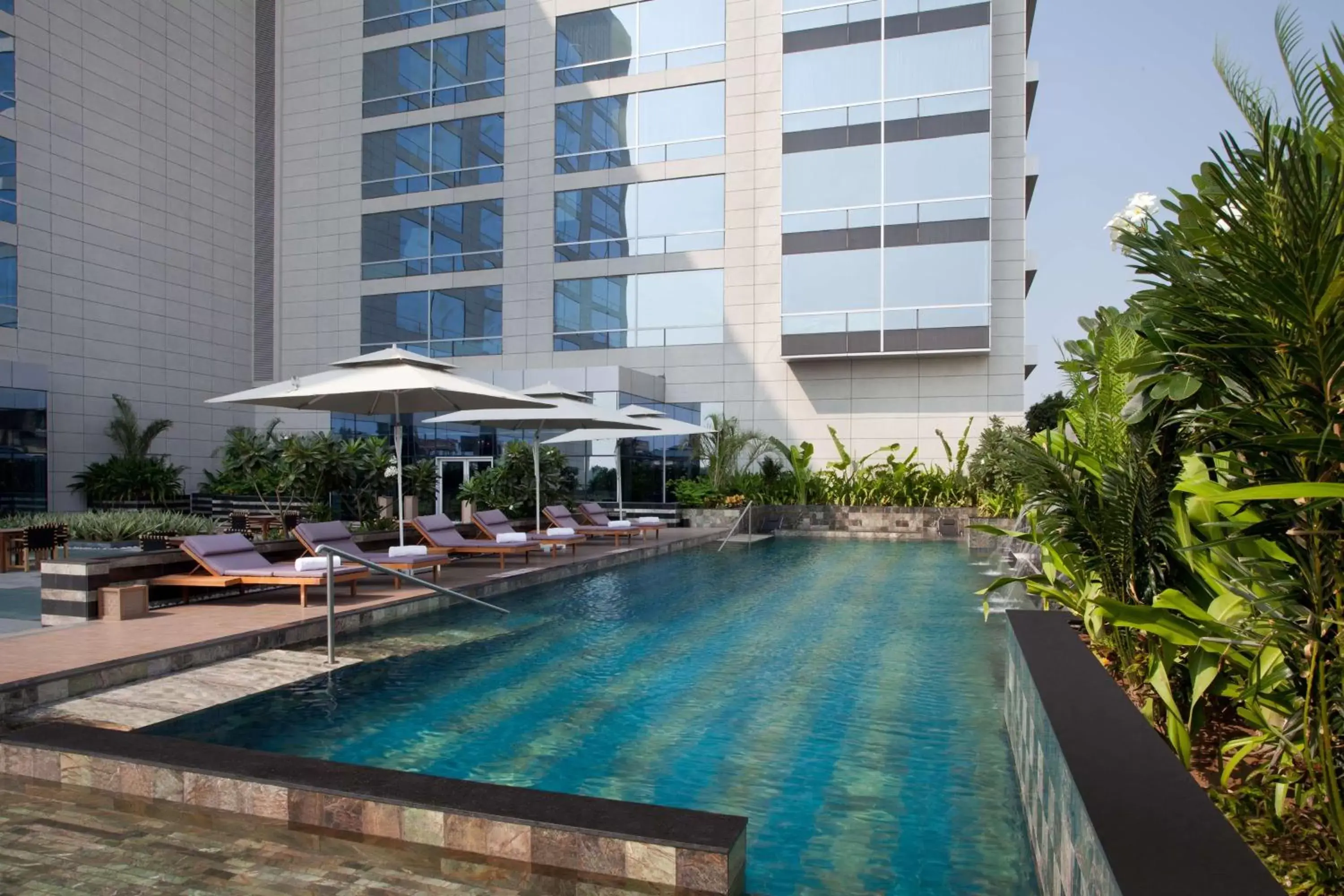 Swimming pool in Hyatt Regency Ahmedabad Swimming pool in Hyatt Regency Ahmedabad
