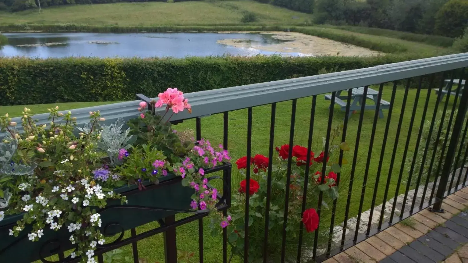 Day in Cameley Lodge - Self Catering