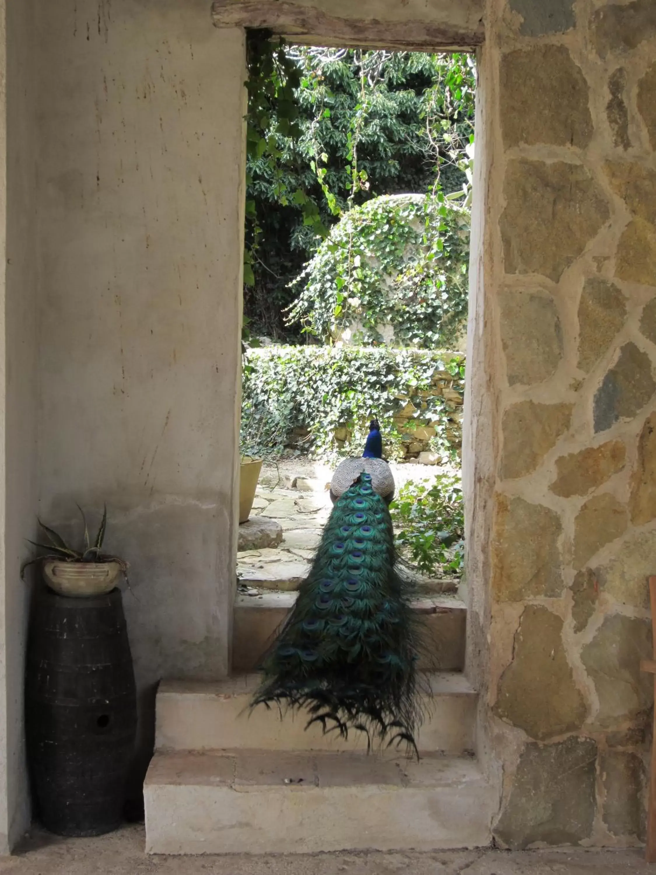 Facade/entrance in Xanadu - Villa Giardinata