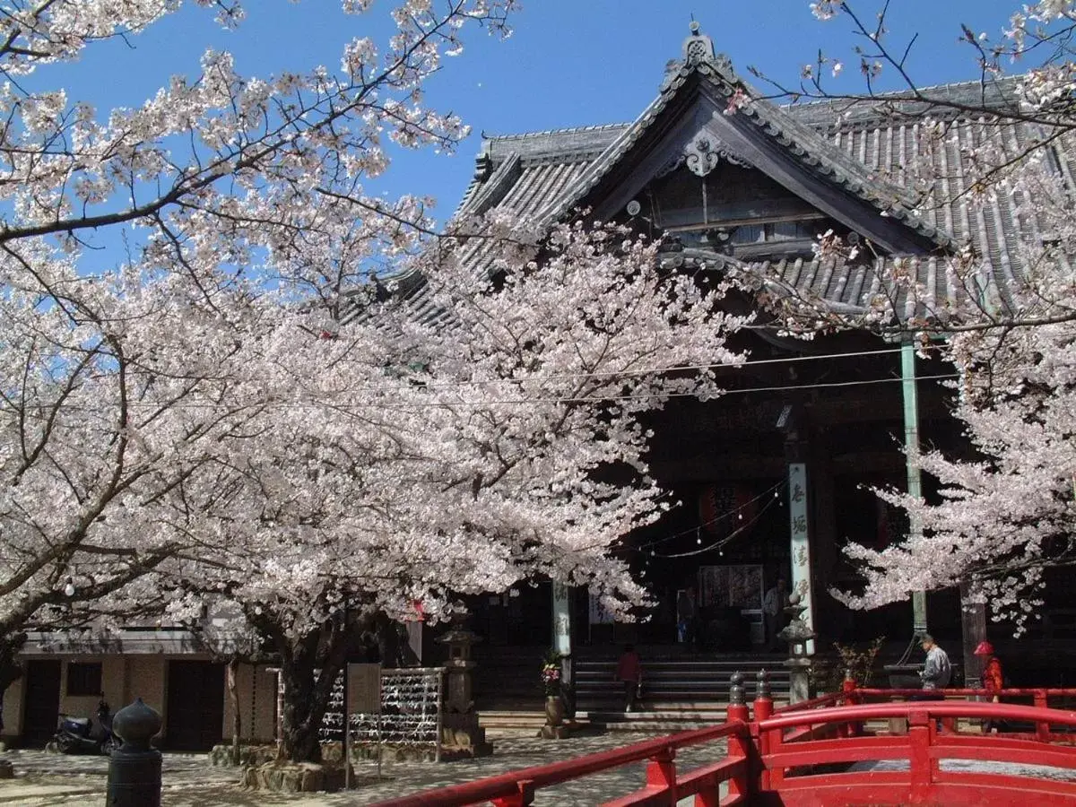 Property Building in Hotel Avalorm Kinokuni