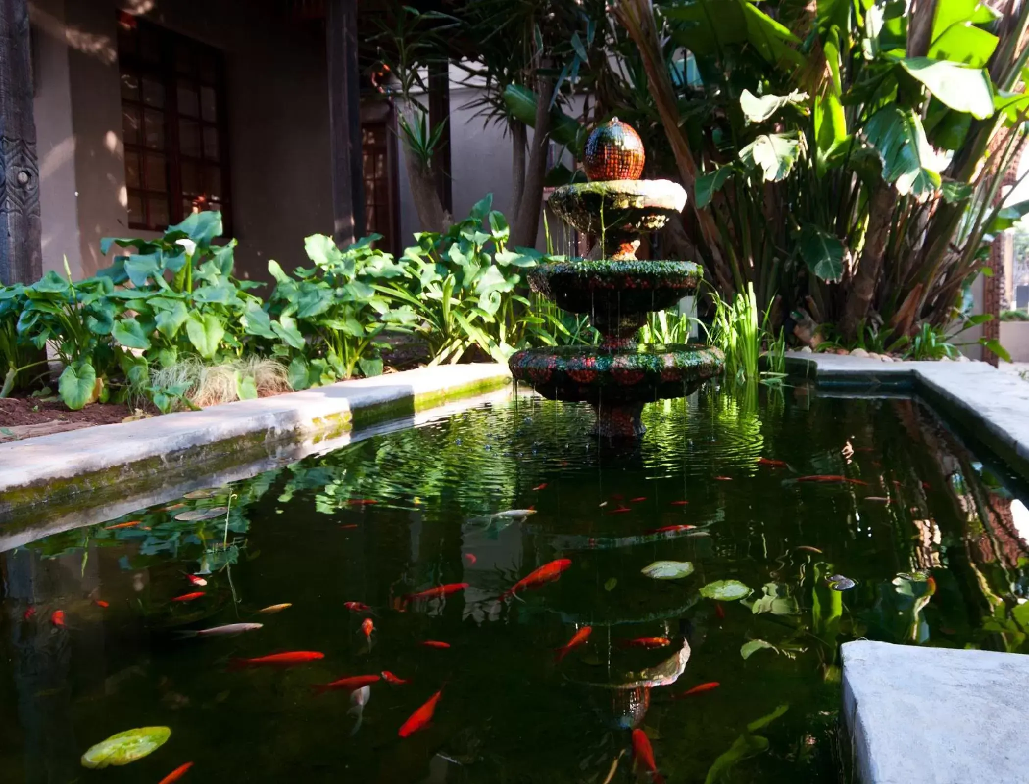 Decorative detail, Swimming Pool in Singa Lodge - Lion Roars Hotels & Lodges