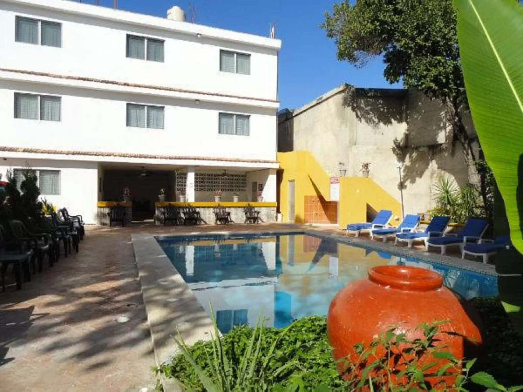 Swimming Pool in Hotel Las Dalias Inn