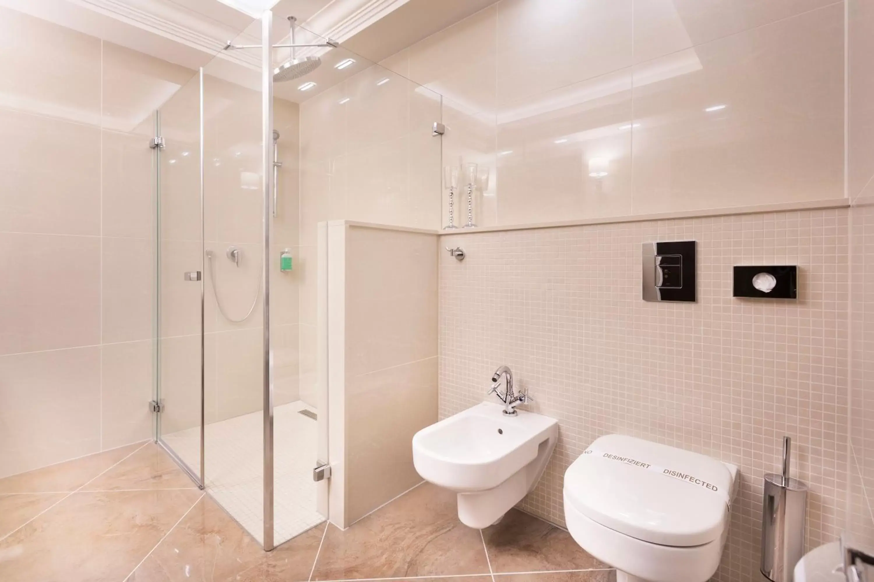 Single Room in Hotel Dvorana Single Room in Hotel Dvorana