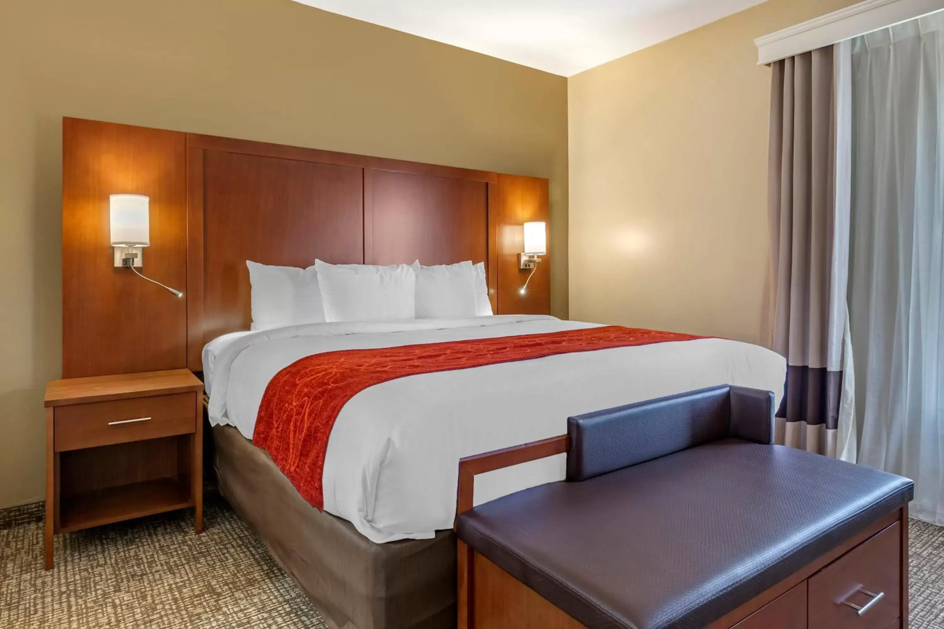 King Suite - Disability Access/Non-Smoking in Comfort Suites near Camp Lejeune