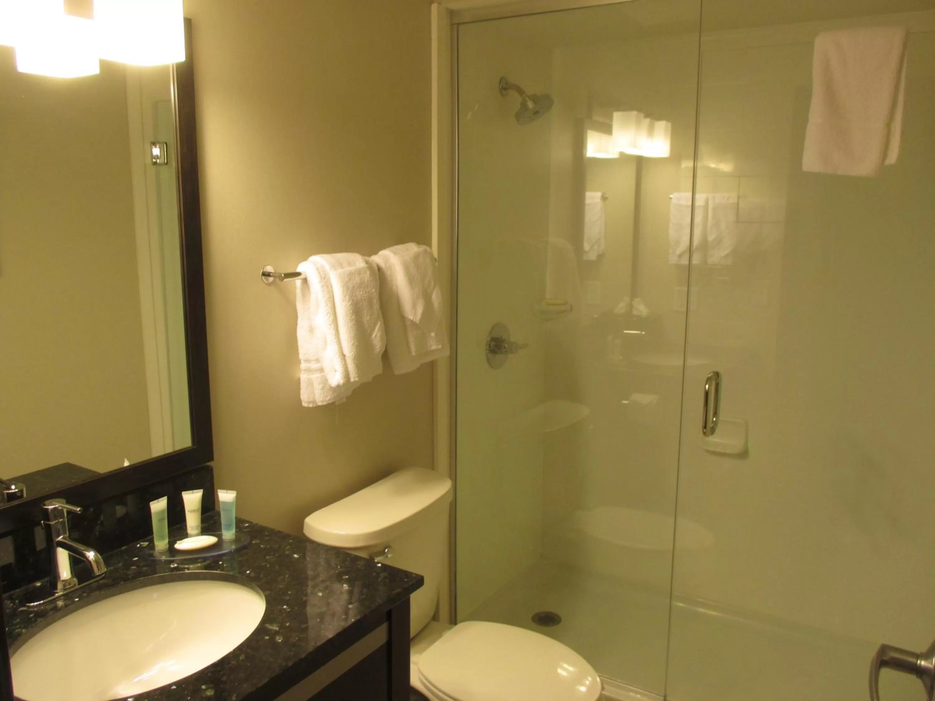 Bathroom in Best Western Harvest Inn & Suites