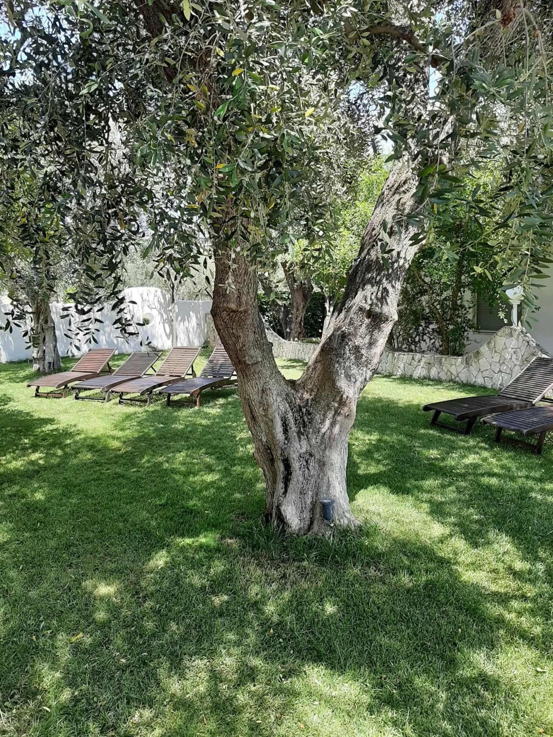 Garden in Hotel Il Melograno