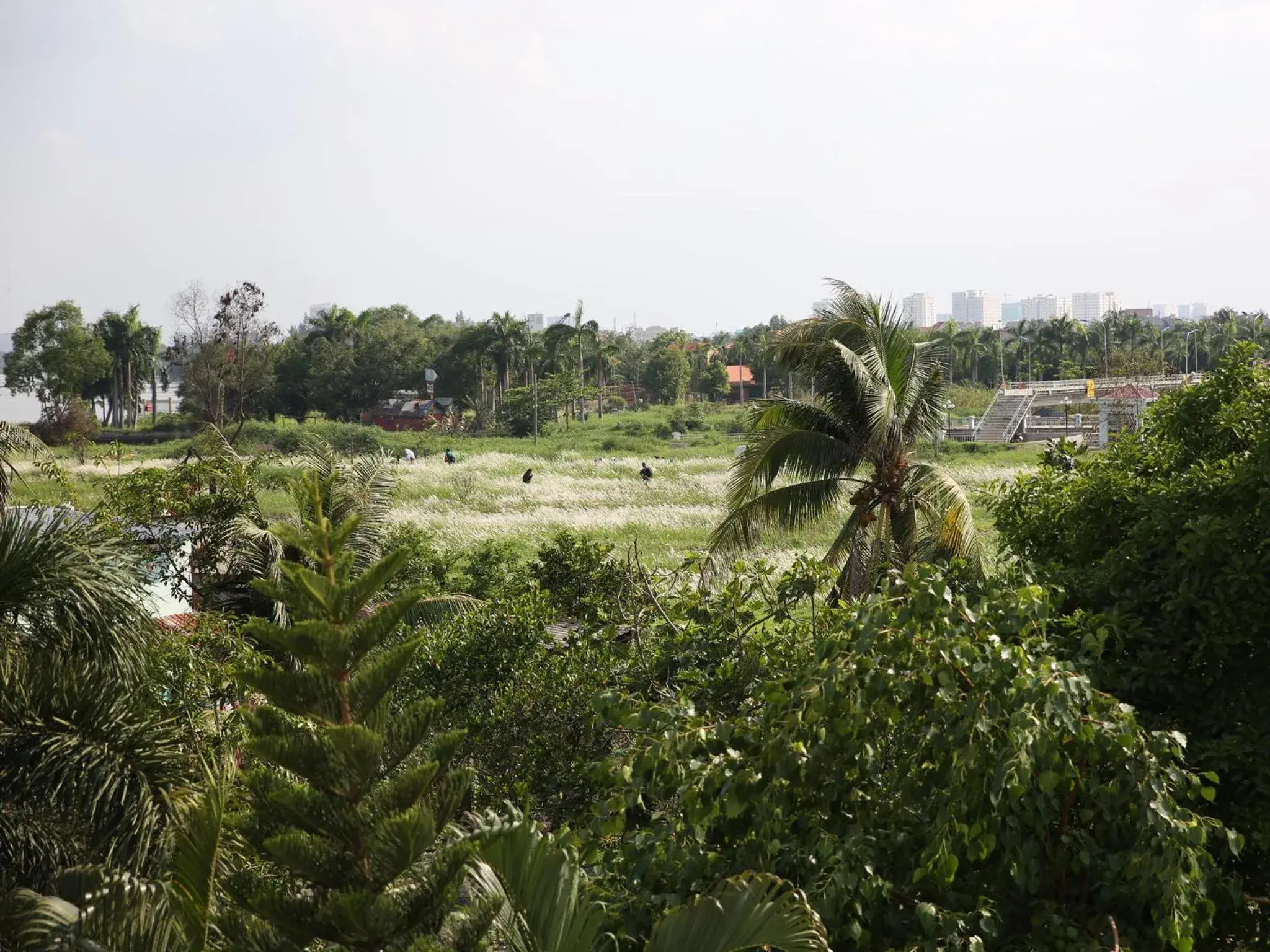 Garden view, Garden in Hoa Phat Hotel & Apartment