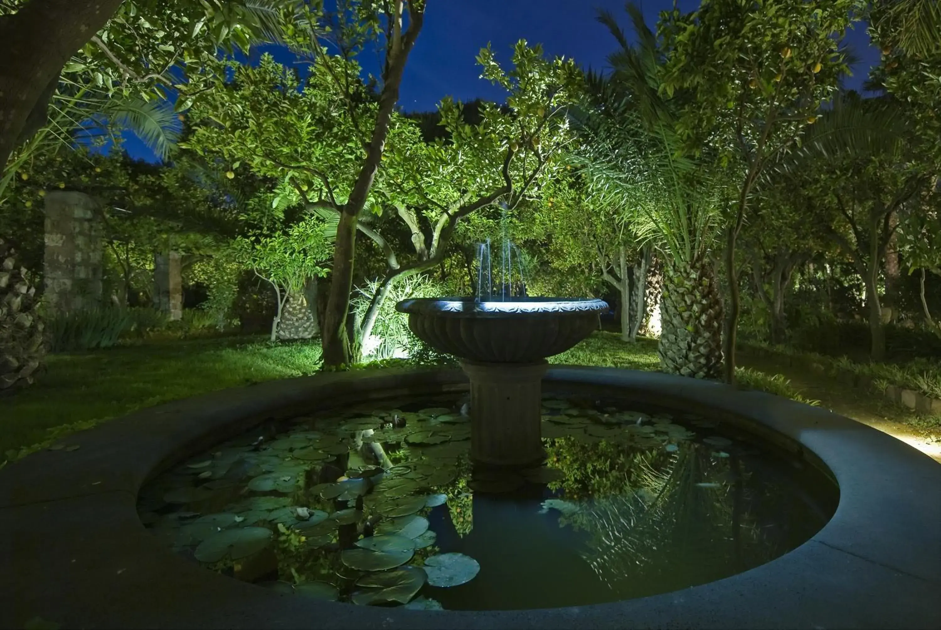 Garden in Grand Hotel Cocumella