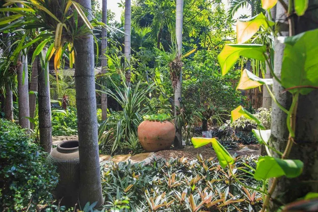 Garden in Meewaya Hotel