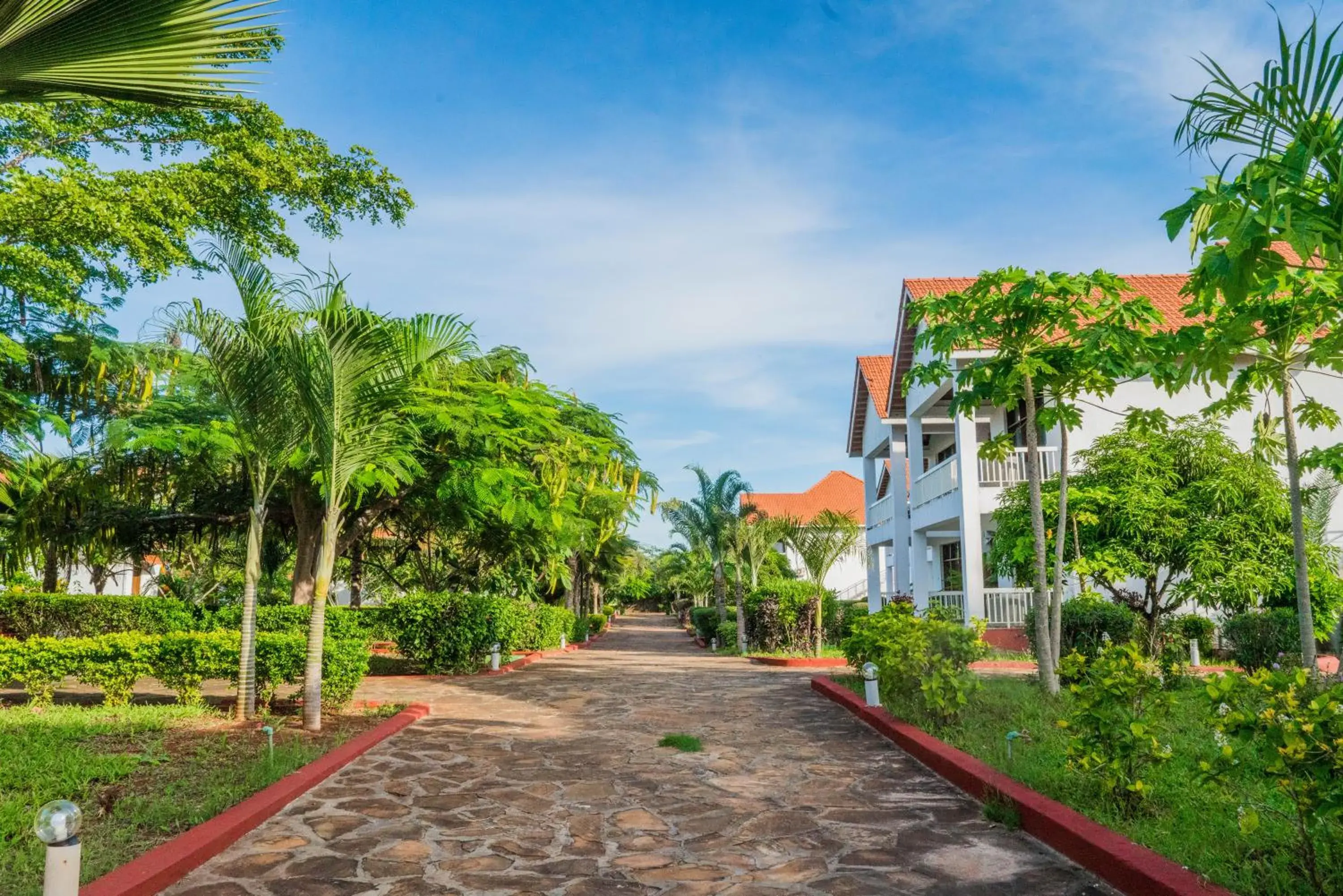 Garden in Azao Resort & Spa