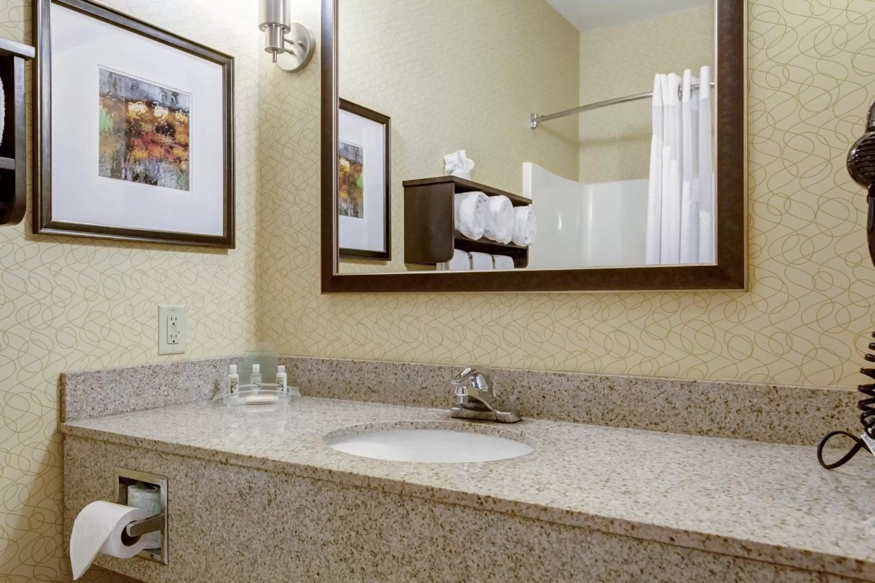 Bathroom in Holiday Inn Poplar Bluff, an IHG Hotel