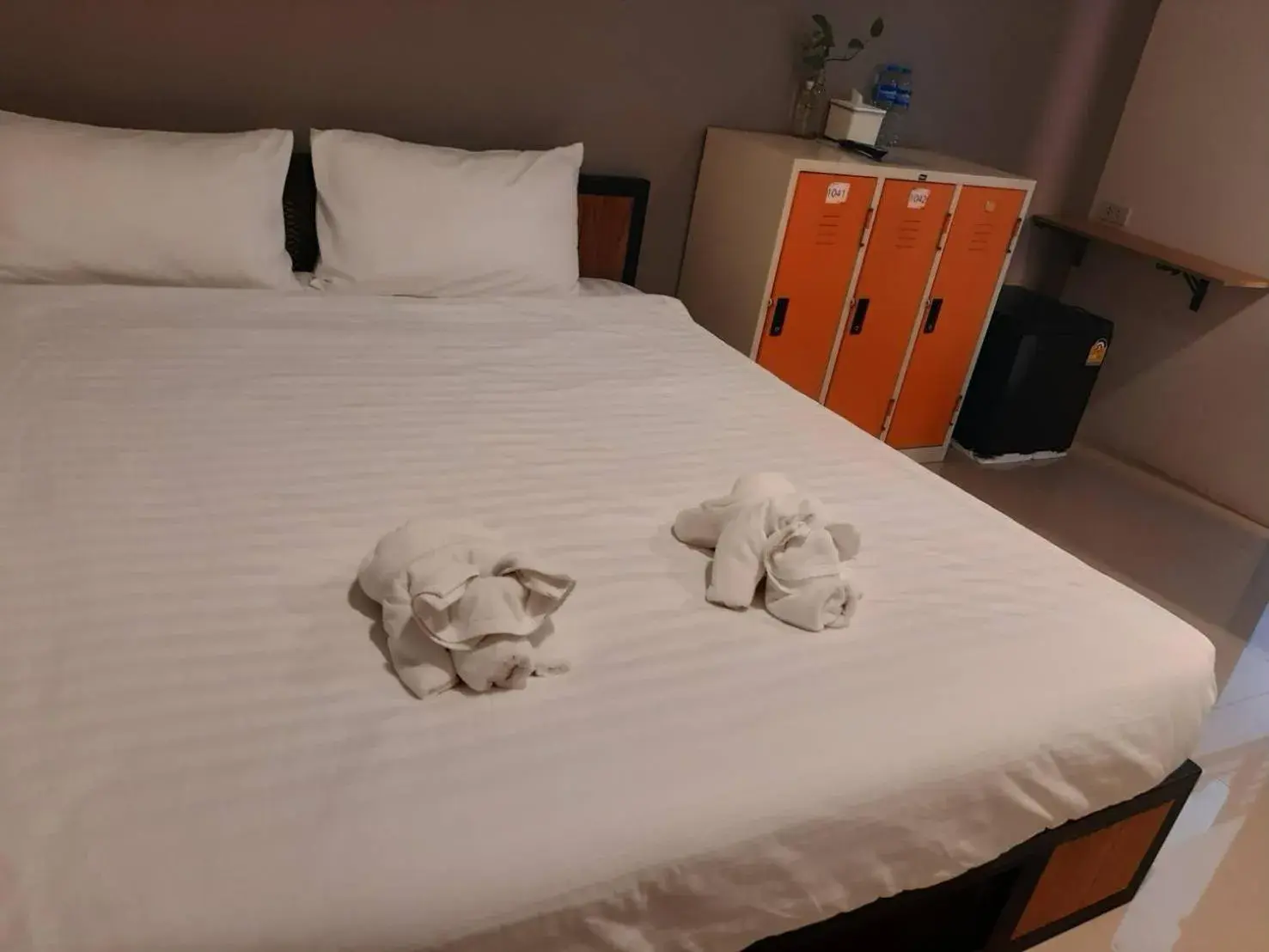 Bed in Thyme Xeriscape Hostel Bed in Thyme Xeriscape Hostel