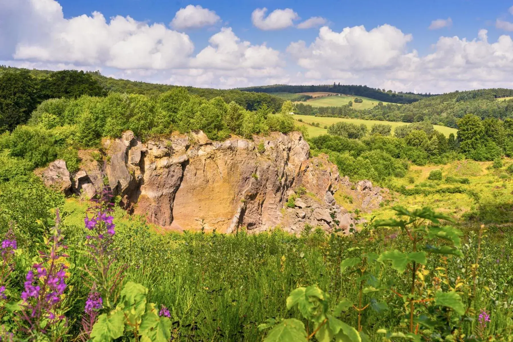 Natural Landscape in Hotel am Park