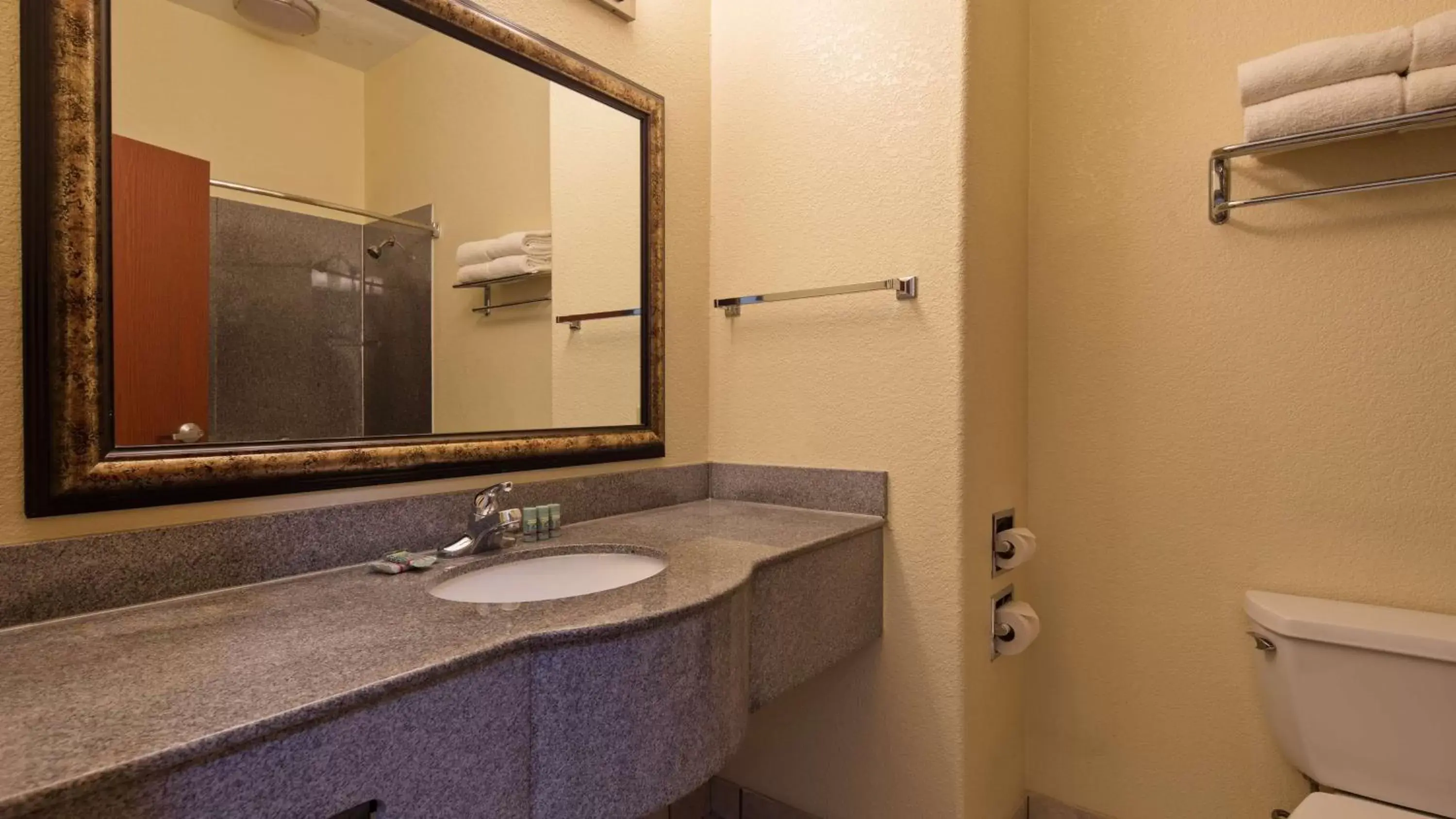 Bathroom in Best Western Palace Inn & Suites