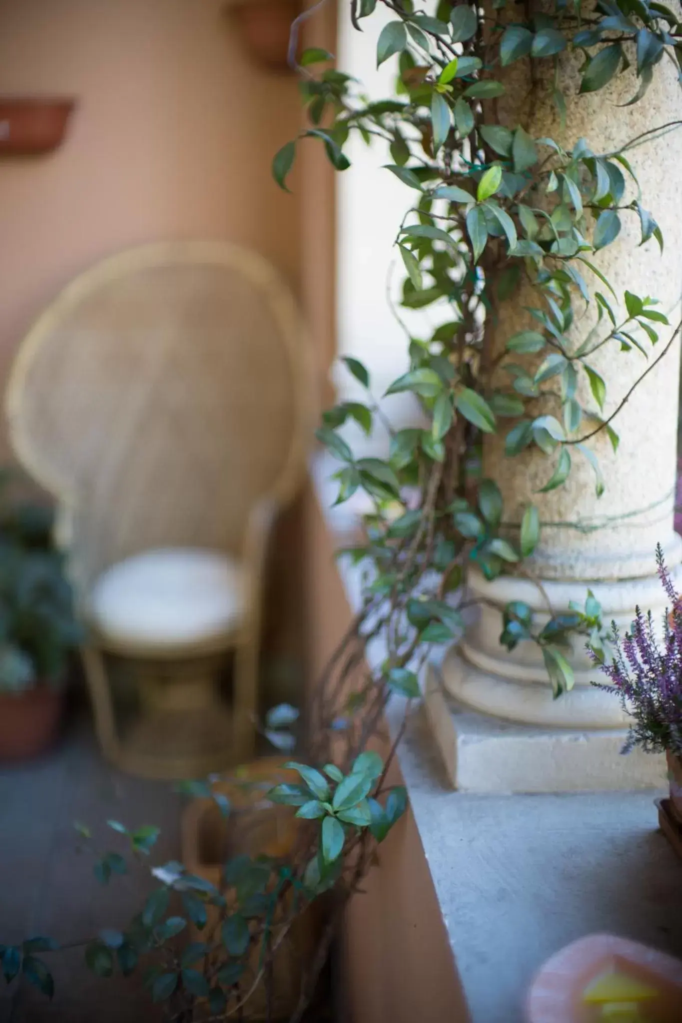 Decorative detail in Hotel Dei Pittori