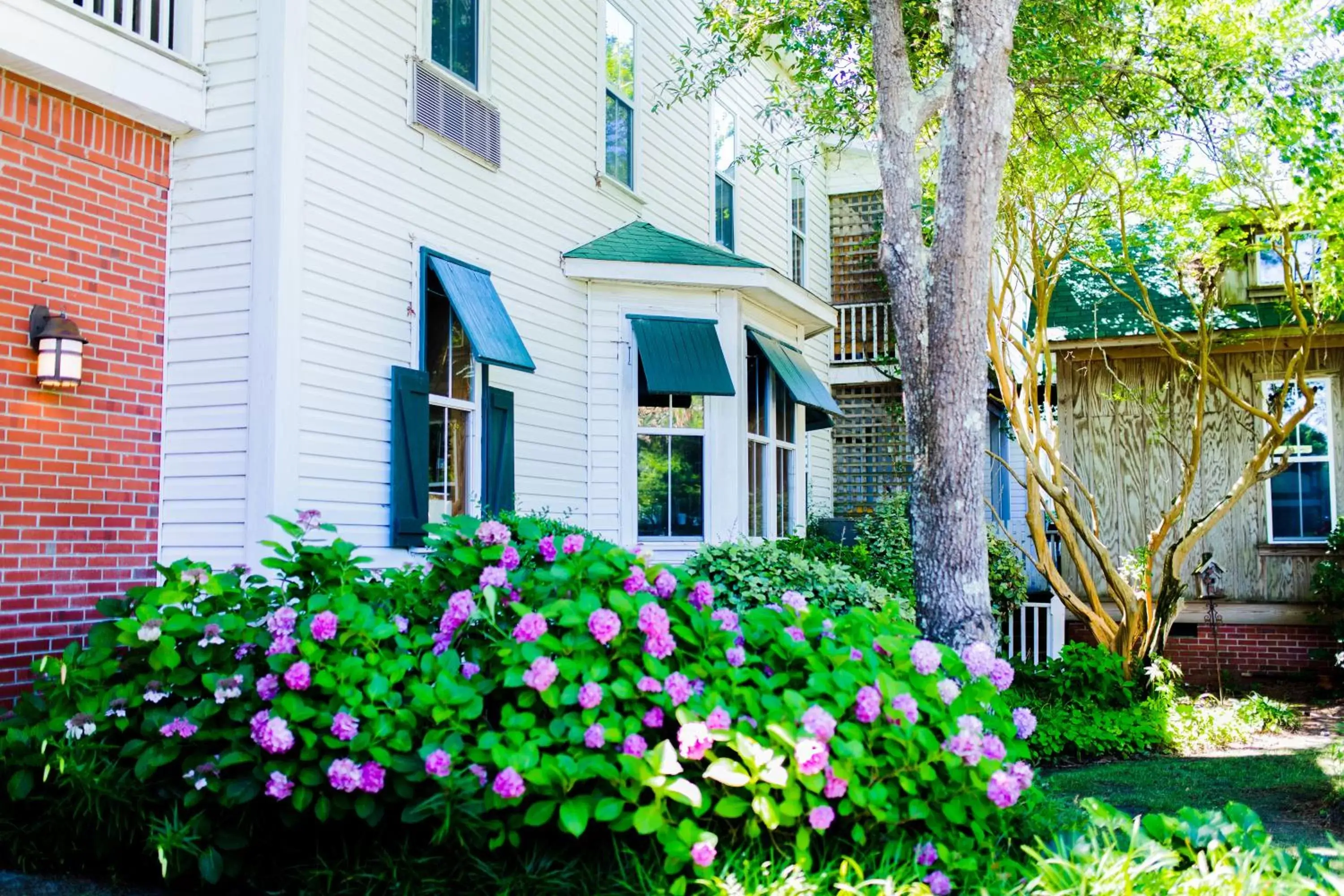 Garden, Property Building in Roanoke Island Inn