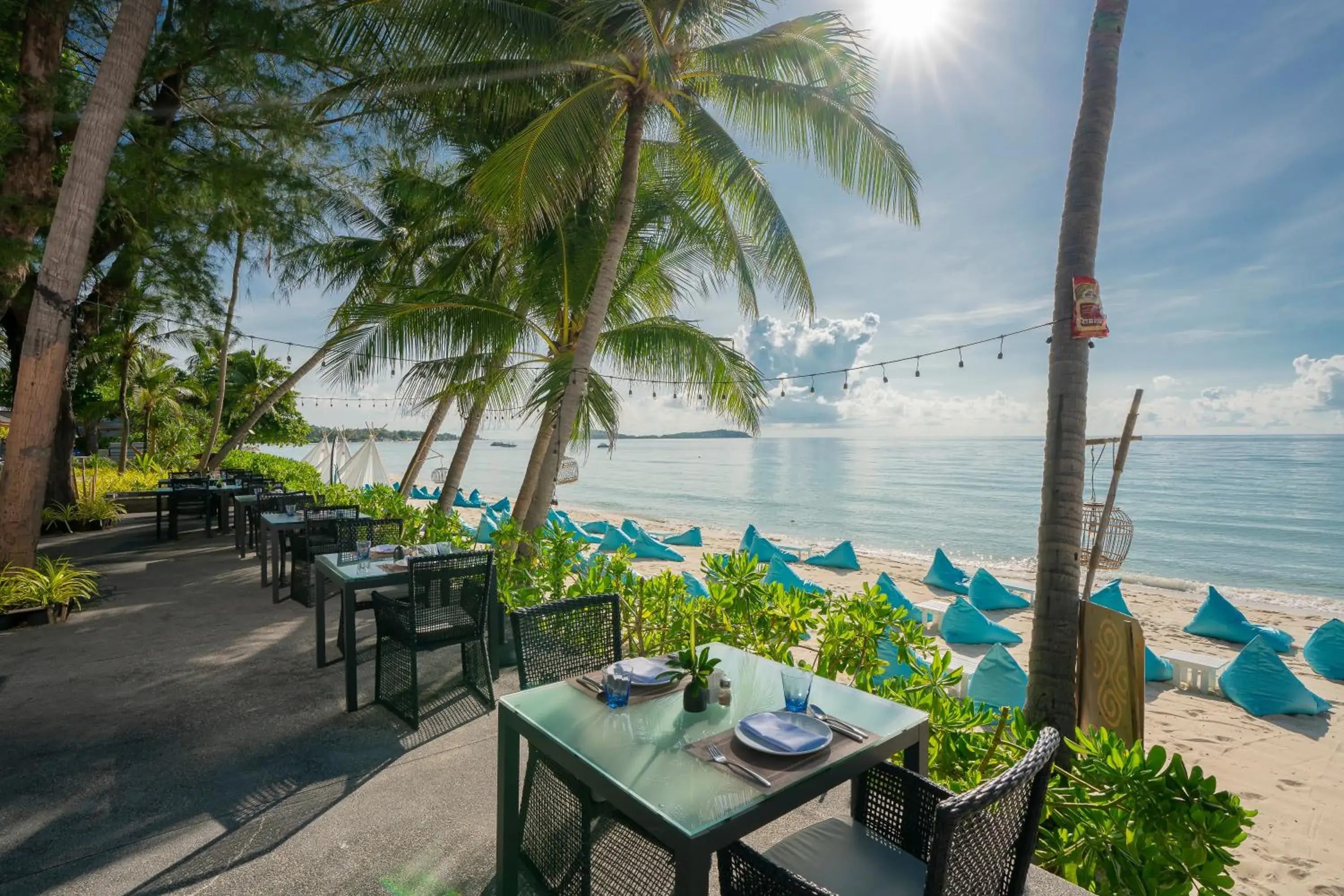 Restaurant/places to eat in Synergy Samui Restaurant/places to eat in Synergy Samui