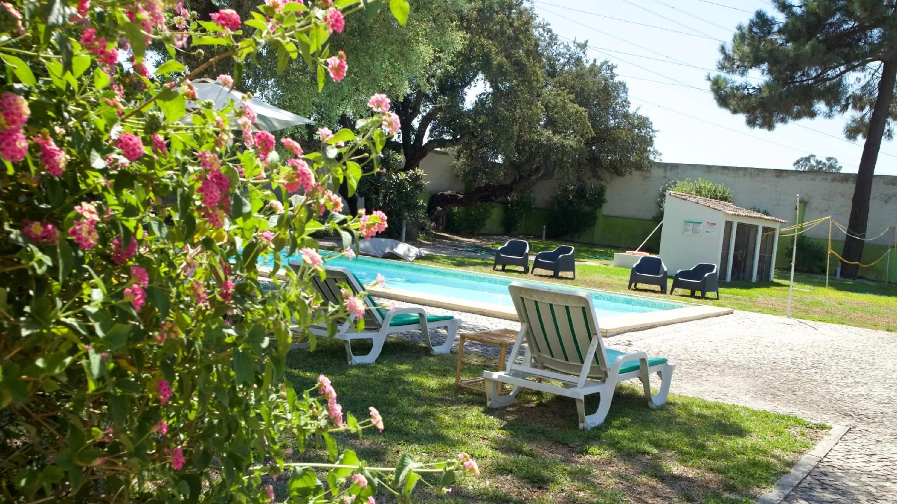 Natural landscape in Amazonia Palmela Apartamentos Turisticos