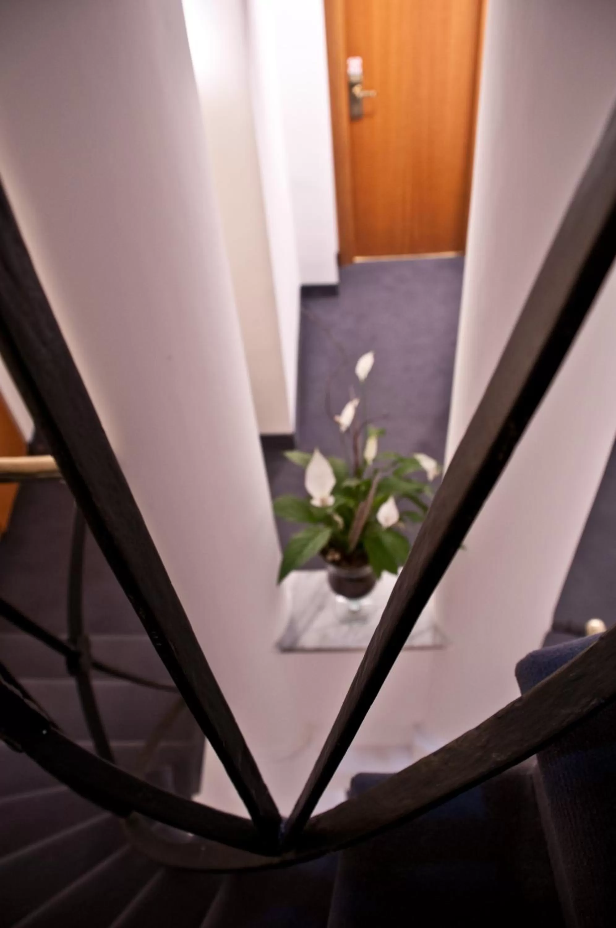 Other in Hotel Concordia