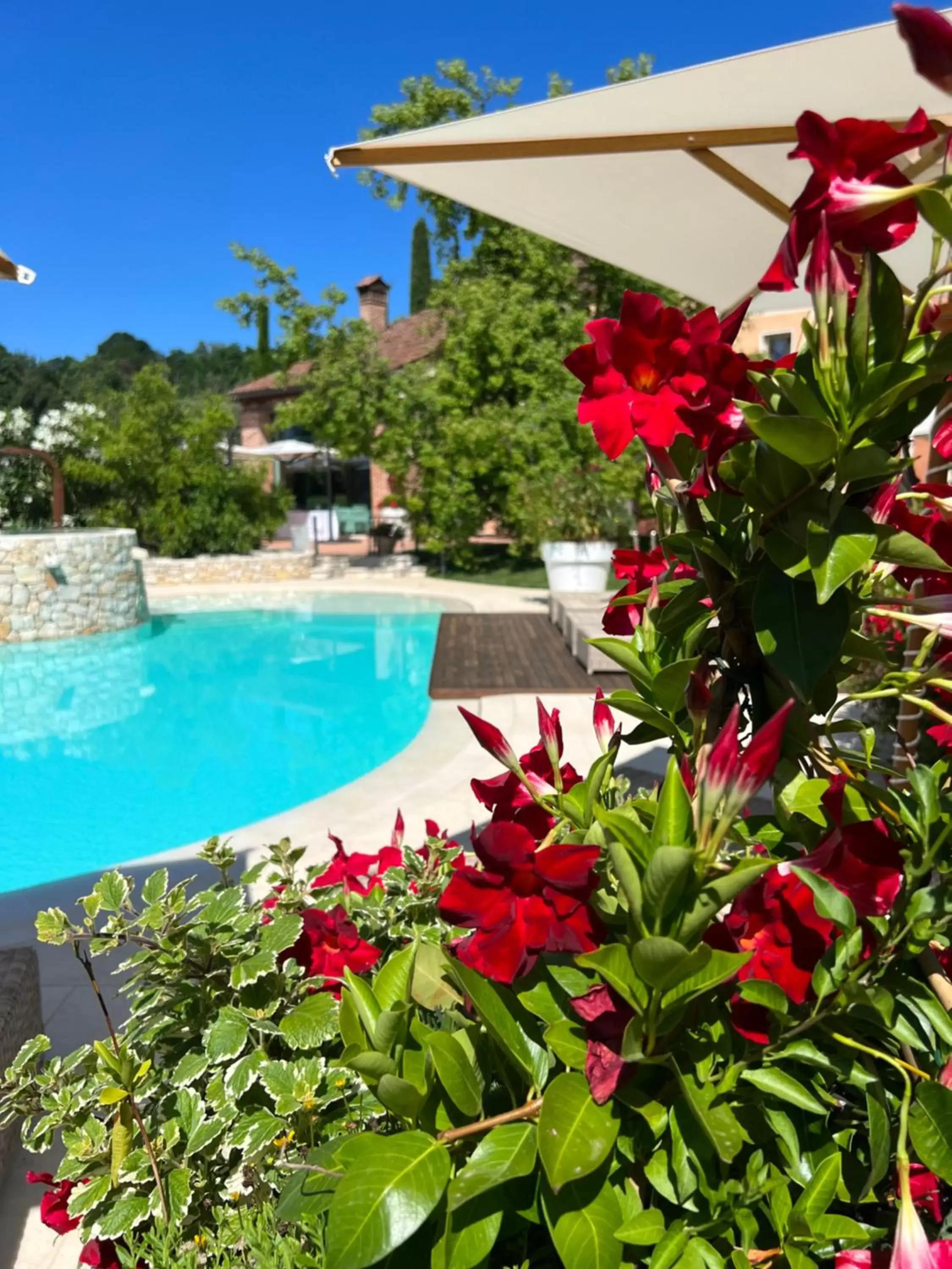 Swimming Pool in Borghetto San Biagio Relais Agriturismo