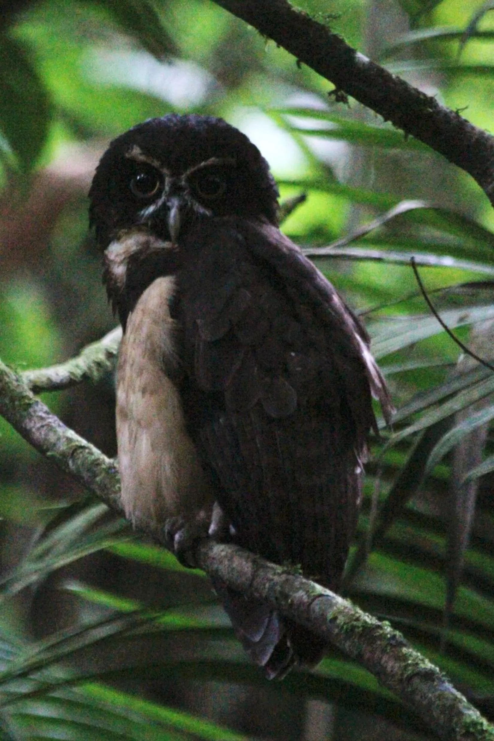 Bird's eye view in Hotel Kokoro Mineral Hot Springs