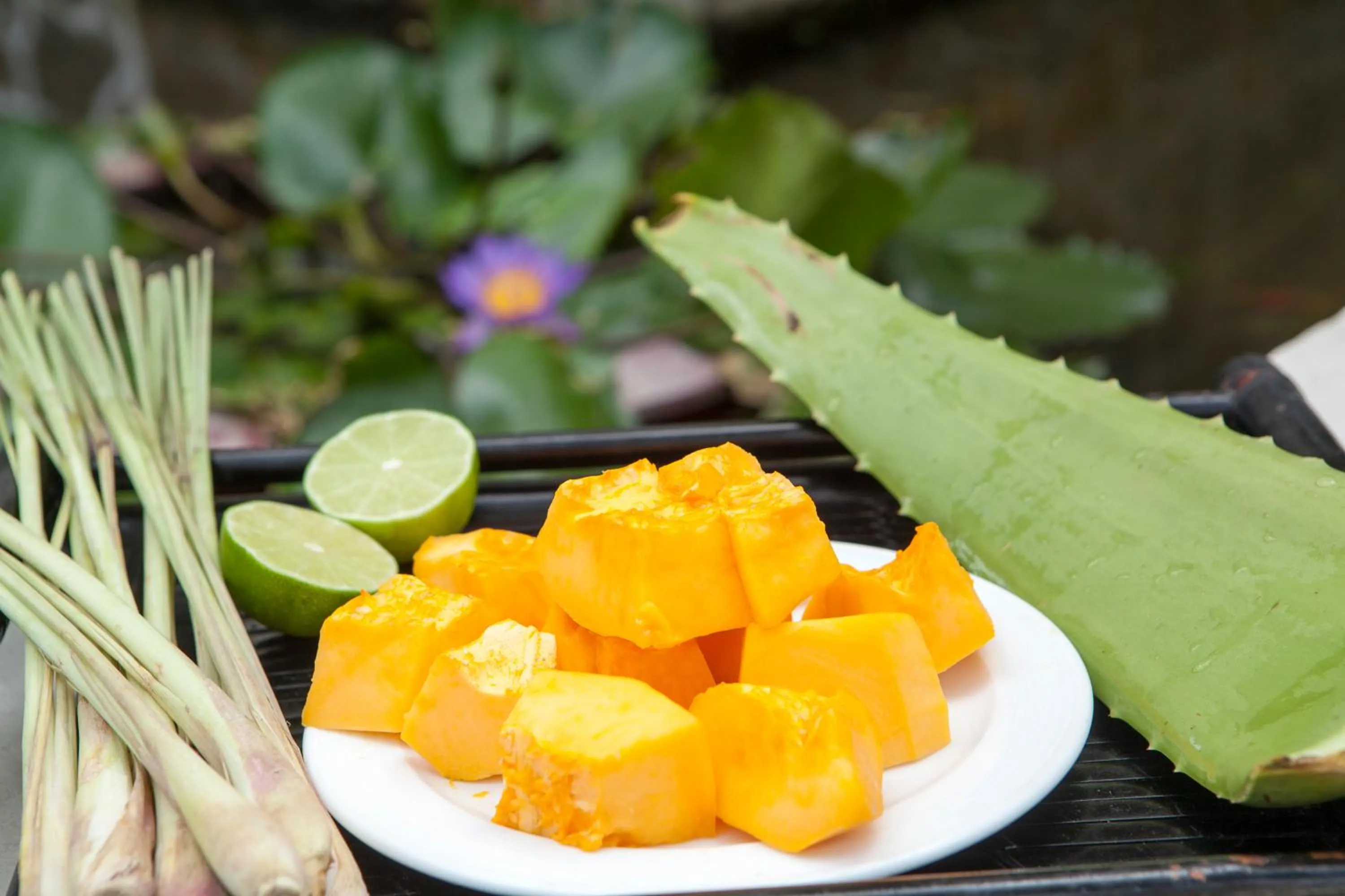 Food close-up in Blue Ocean Resort