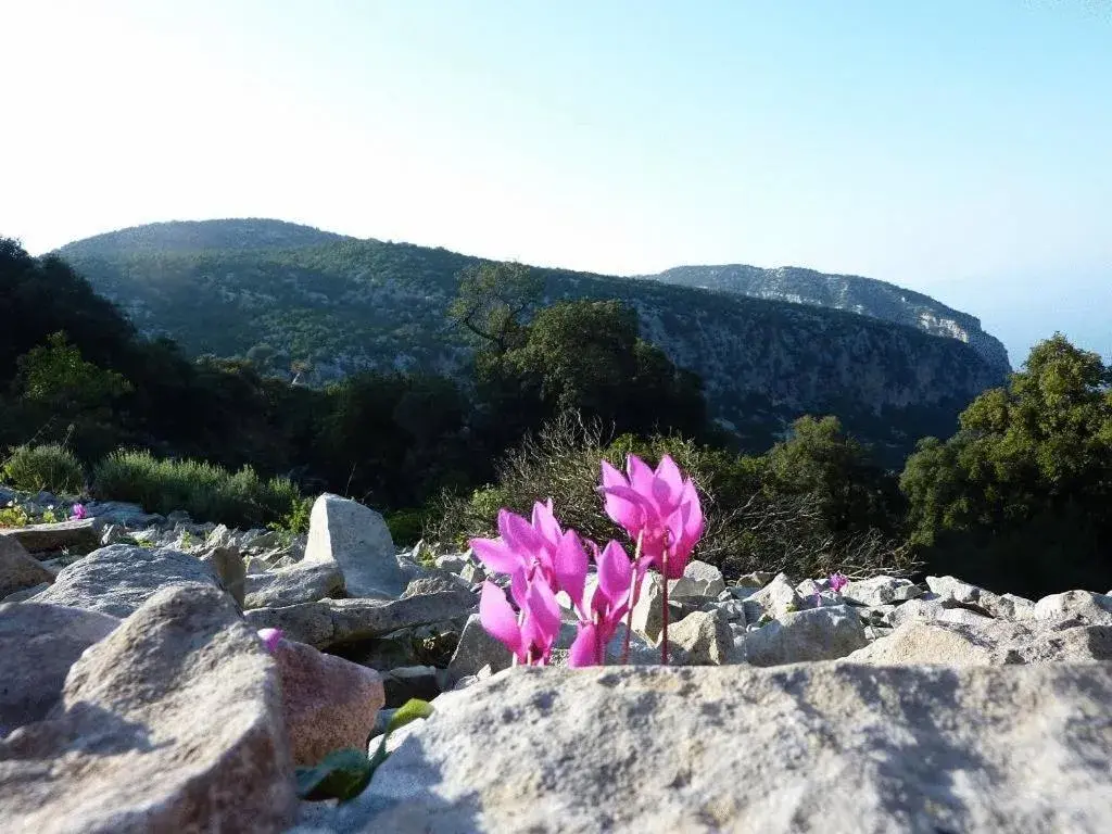 Area and facilities, Mountain View in Hotel Mediterraneo