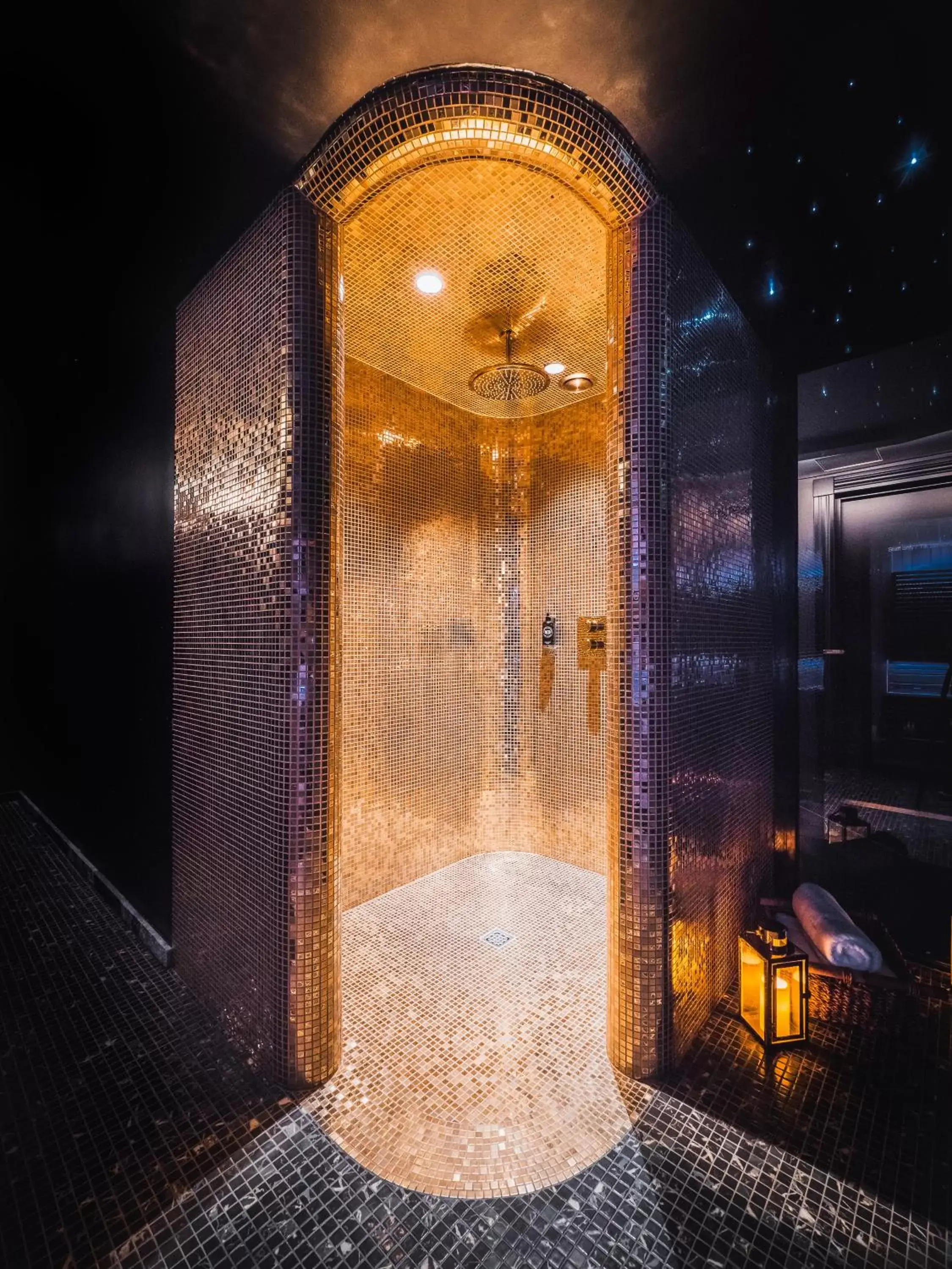 Sauna, Bathroom in Hotel Pacai, Vilnius, a Member of Design Hotels