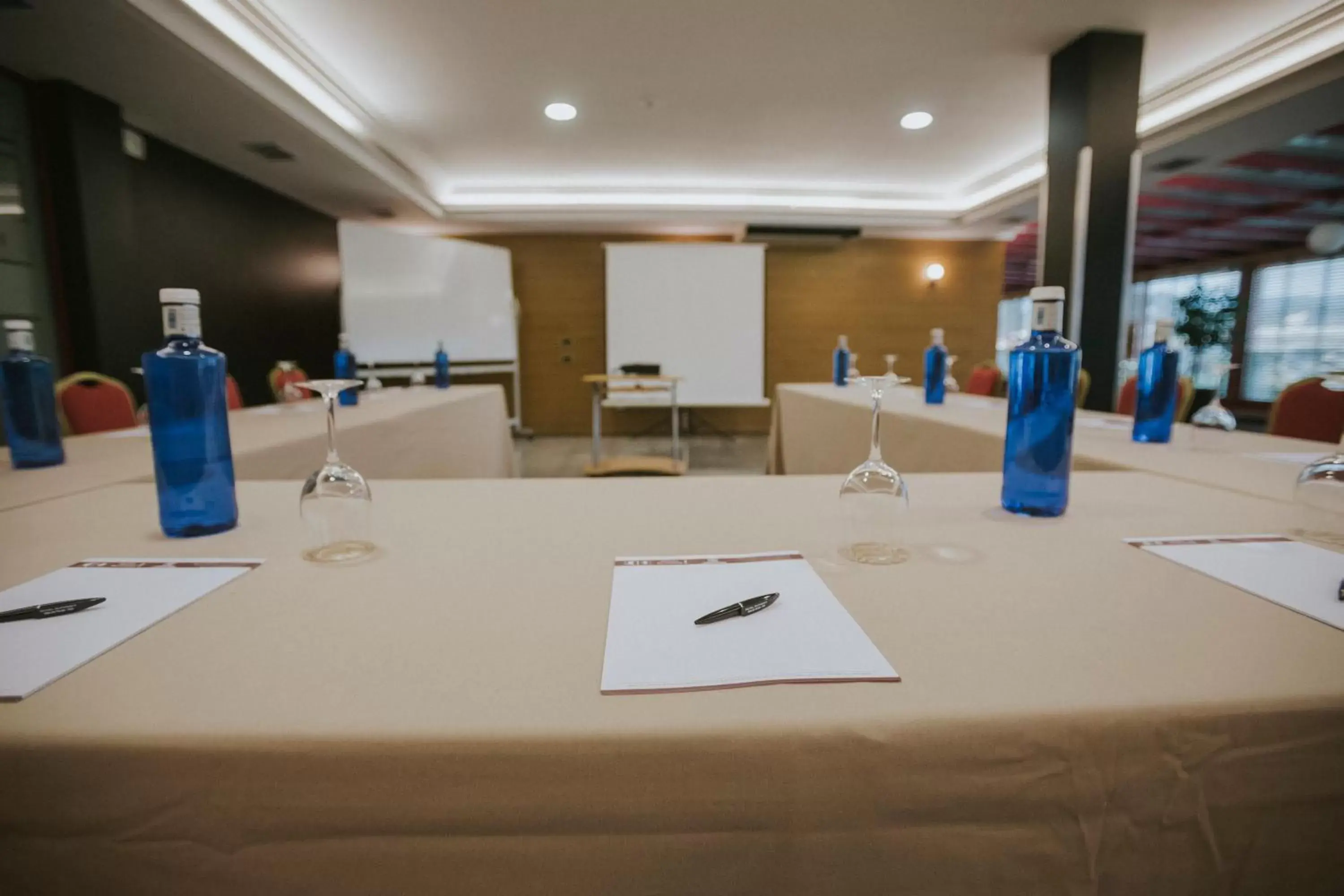 Business facilities in Hotel Alfonso I
