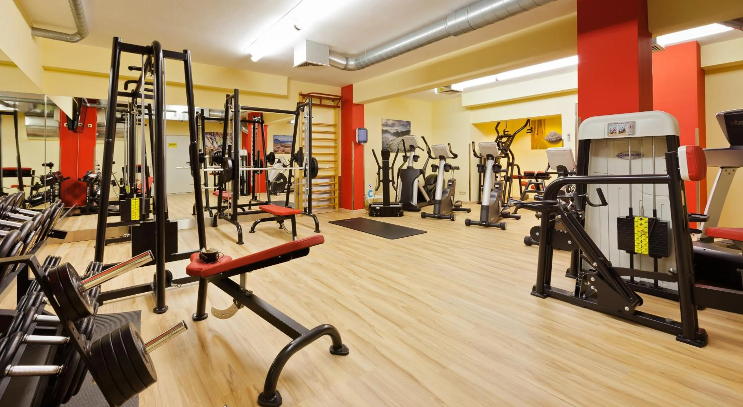 Fitness centre/facilities in Vienna Sporthotel