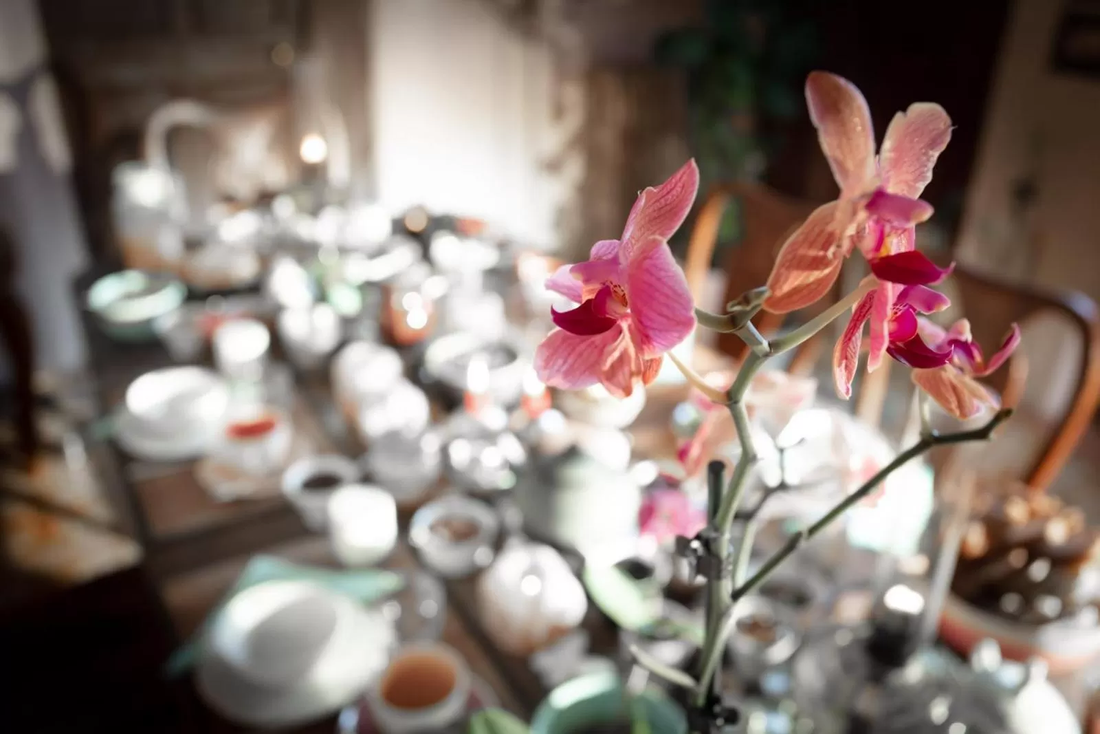 Buffet breakfast in La Vieille Maison - Halte Gourmande