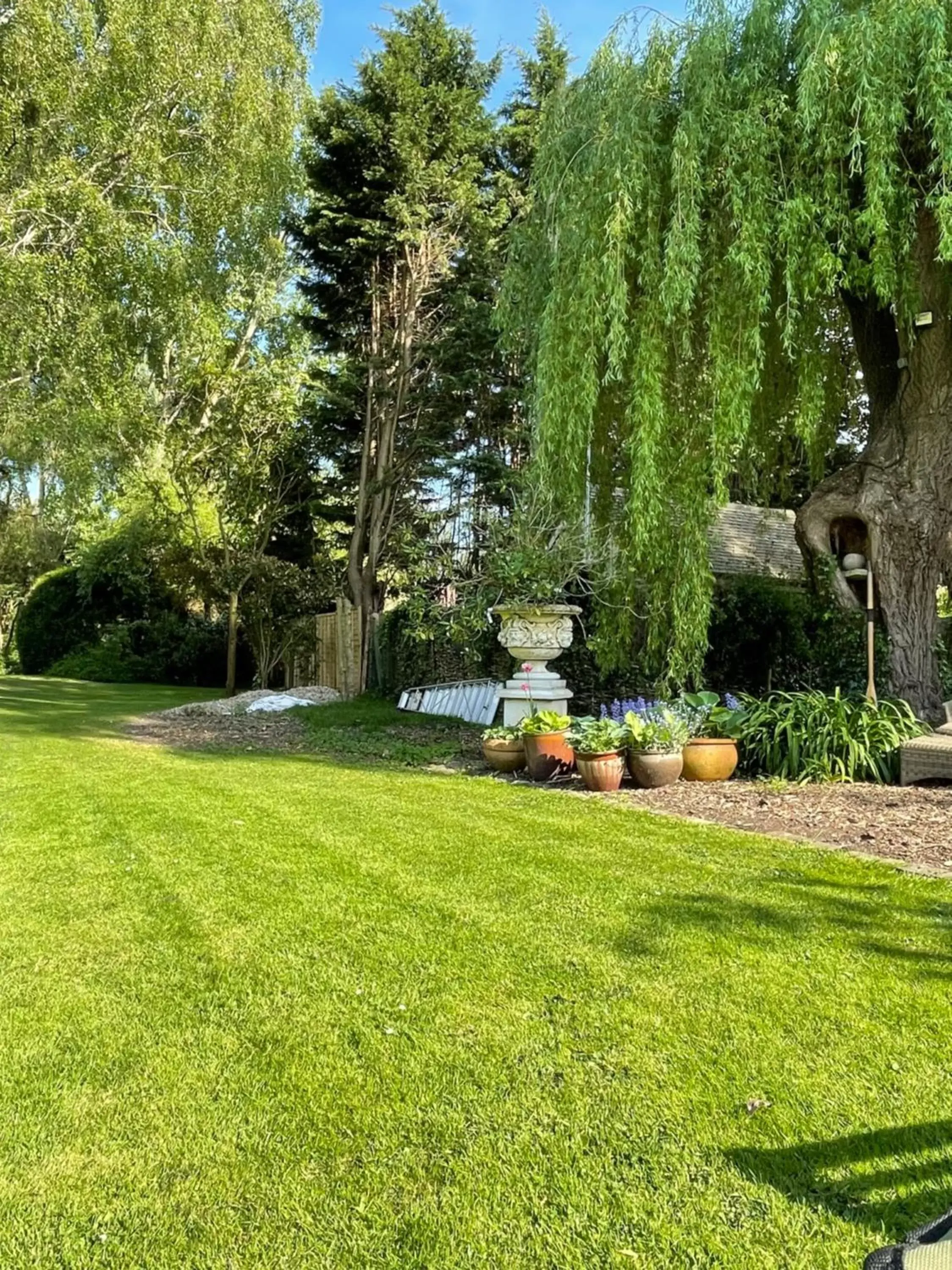 Garden in Monkspool B&B