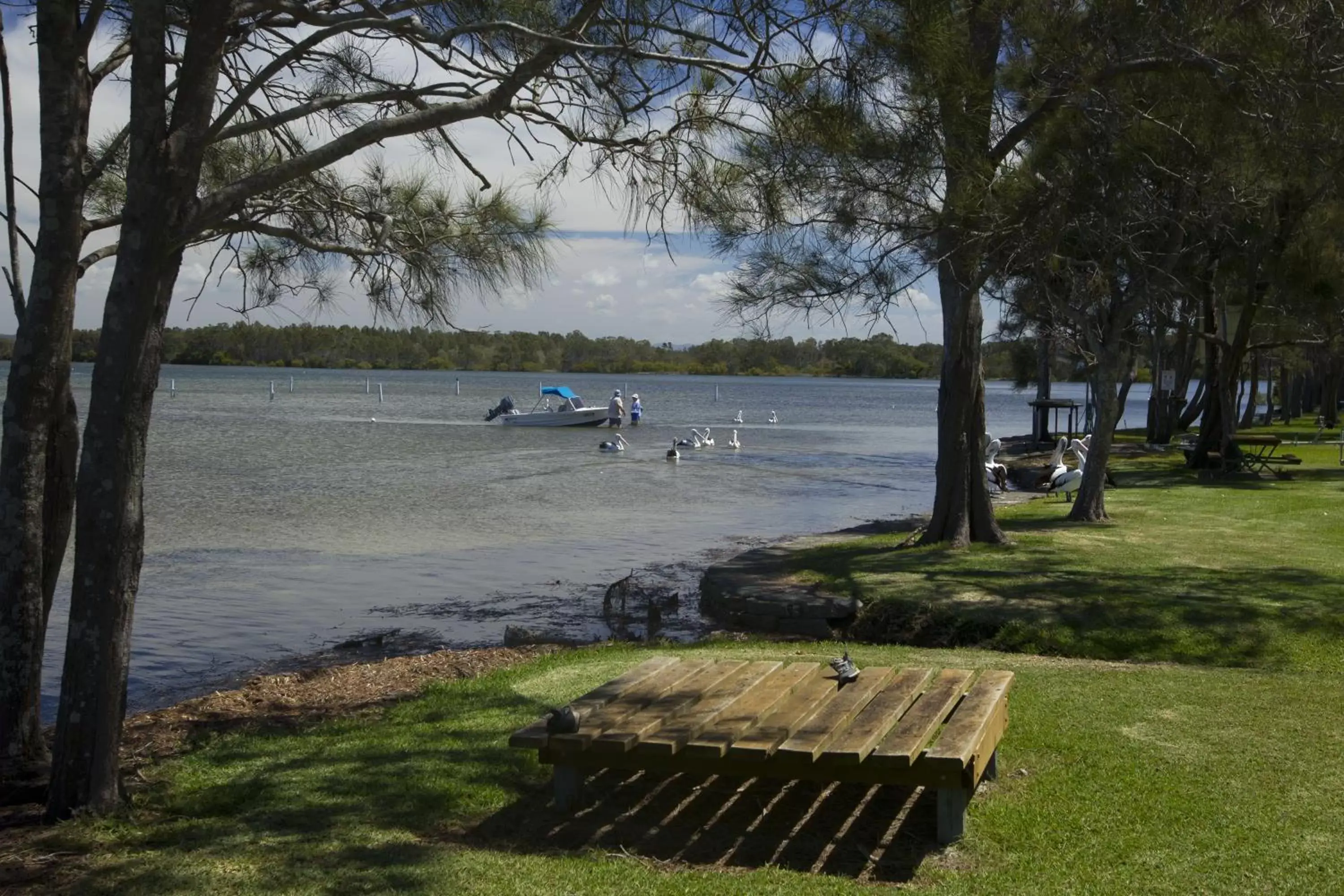 Day in Lakeside Forster Holiday Park and Village