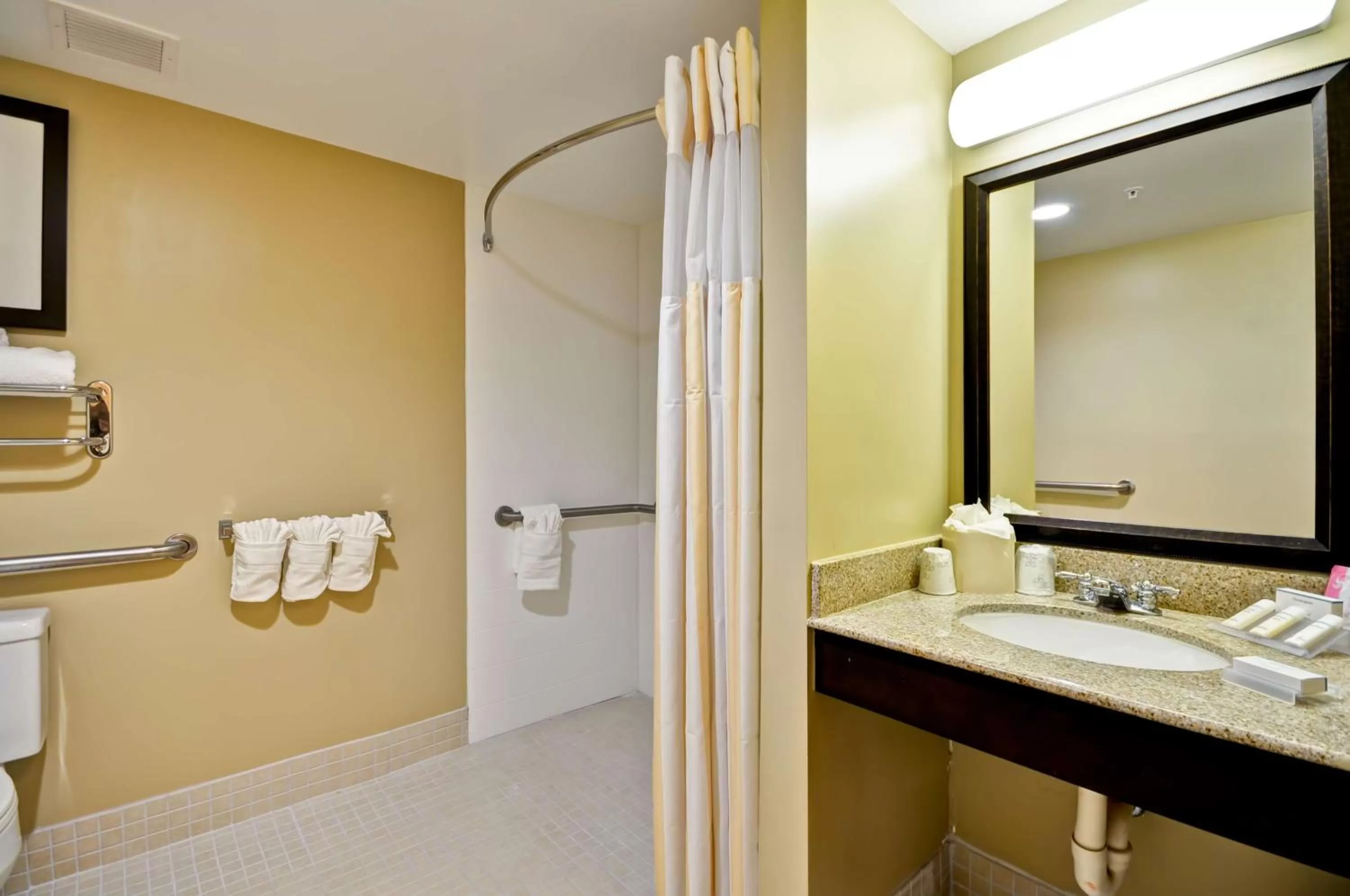 Bathroom in Hilton Garden Inn Tampa North